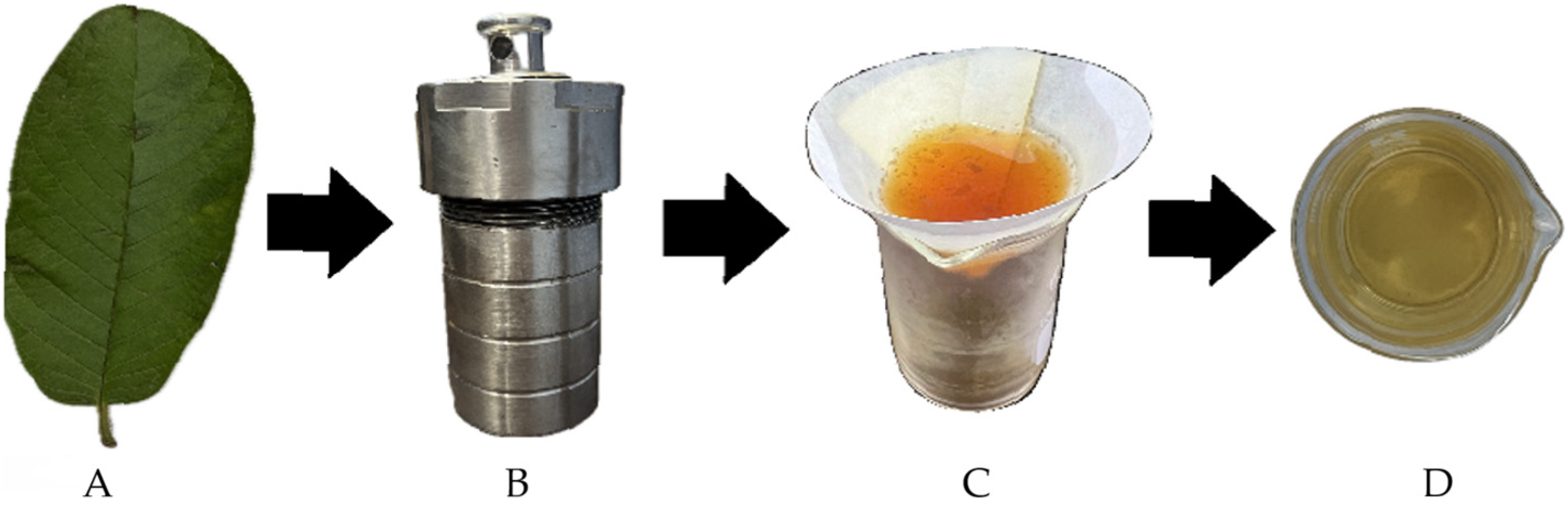Nanomaterials 16 00780 g001 Nanomaterials 16 00780 g001