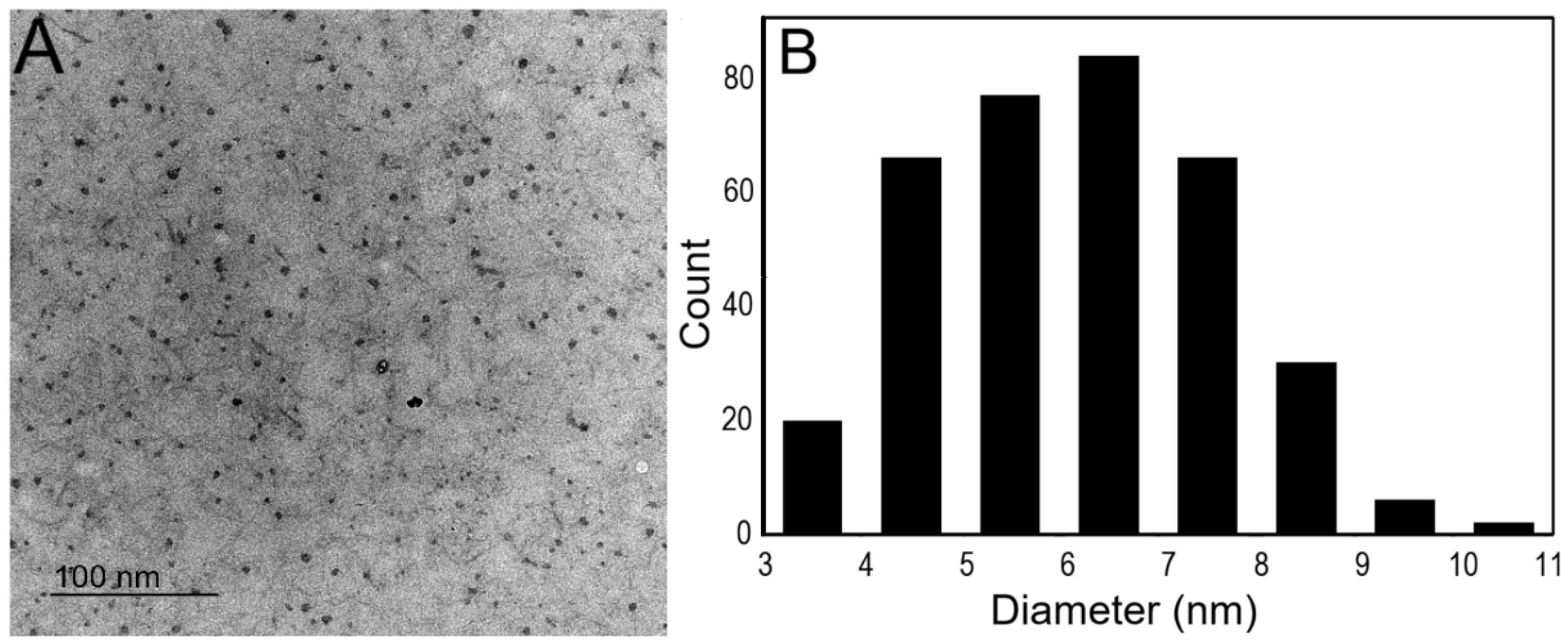 Nanomaterials 16 00780 g002 Nanomaterials 16 00780 g002