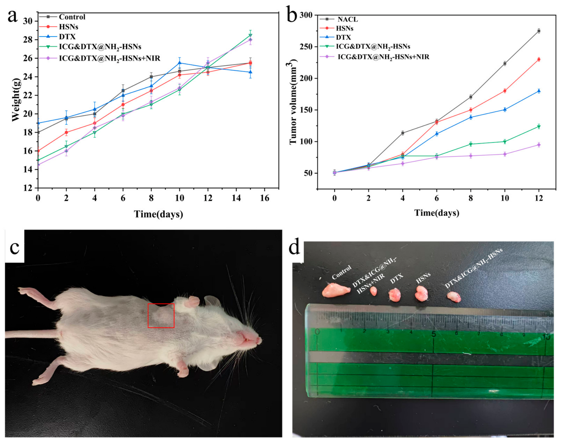 Nanomaterials 16 00805 g008 Nanomaterials 16 00805 g008