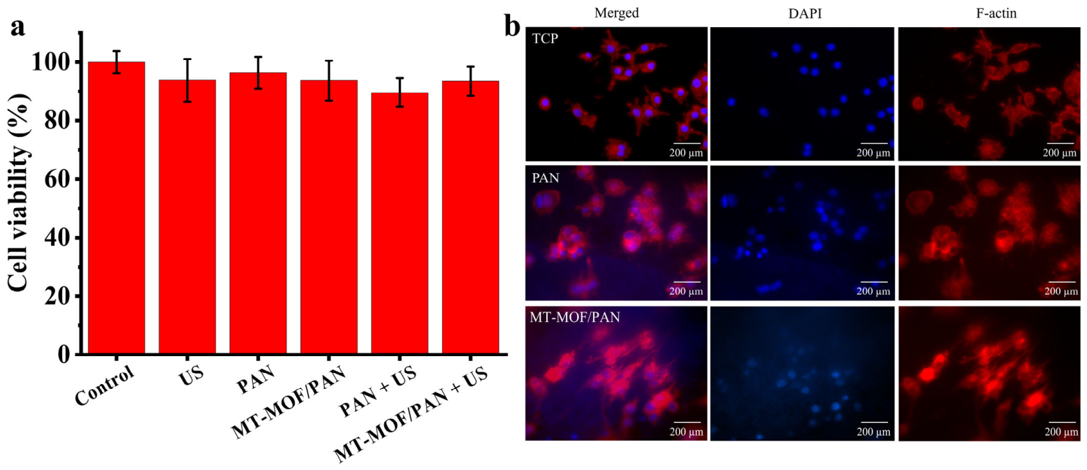 Nanomaterials 16 00853 g004 Nanomaterials 16 00853 g004