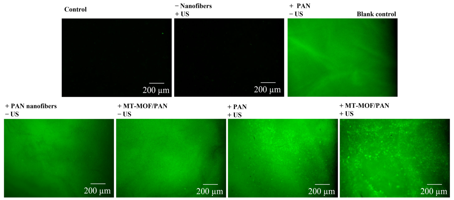 Nanomaterials 16 00853 g006 Nanomaterials 16 00853 g006