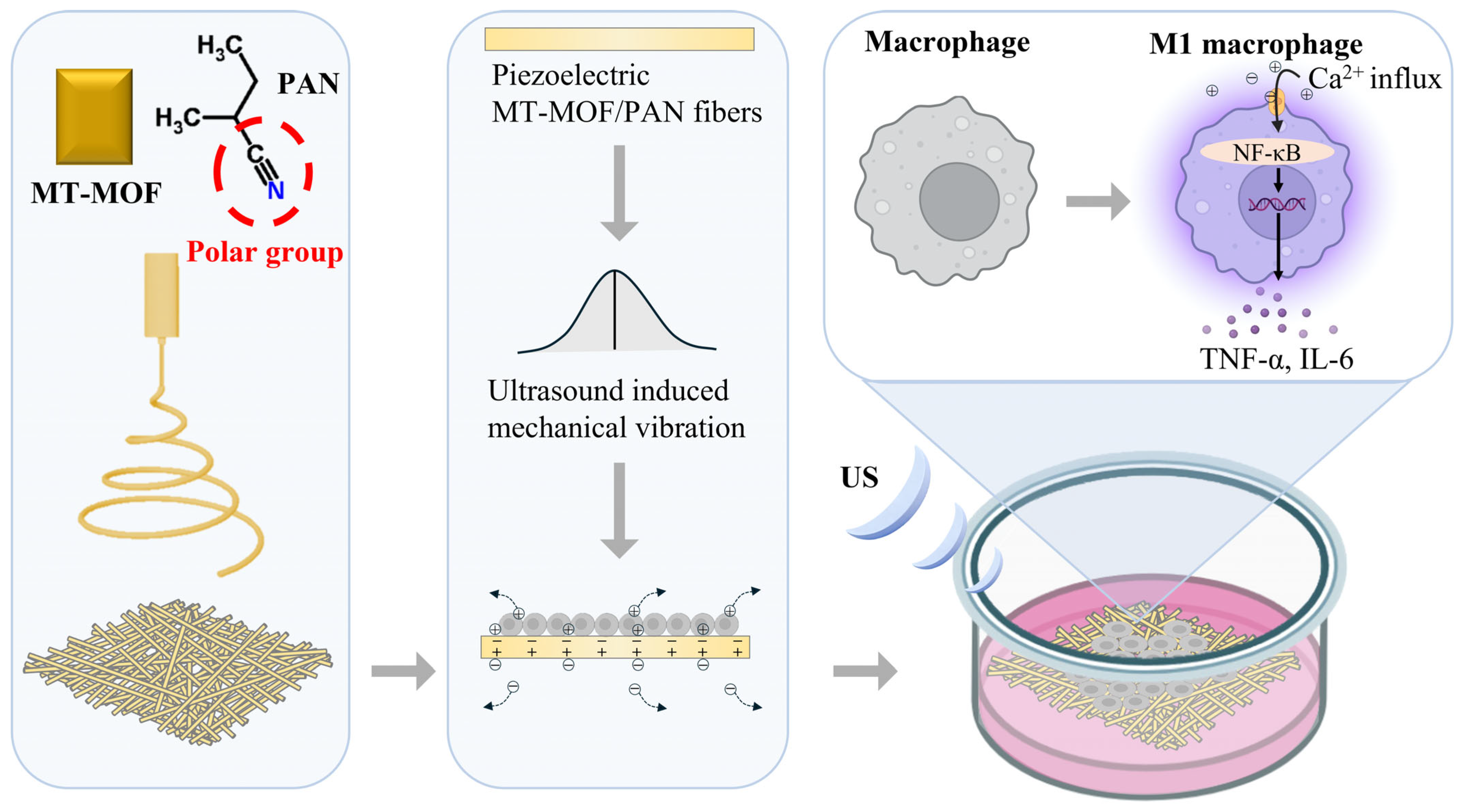 Nanomaterials 16 00853 sch001 Nanomaterials 16 00853 sch001