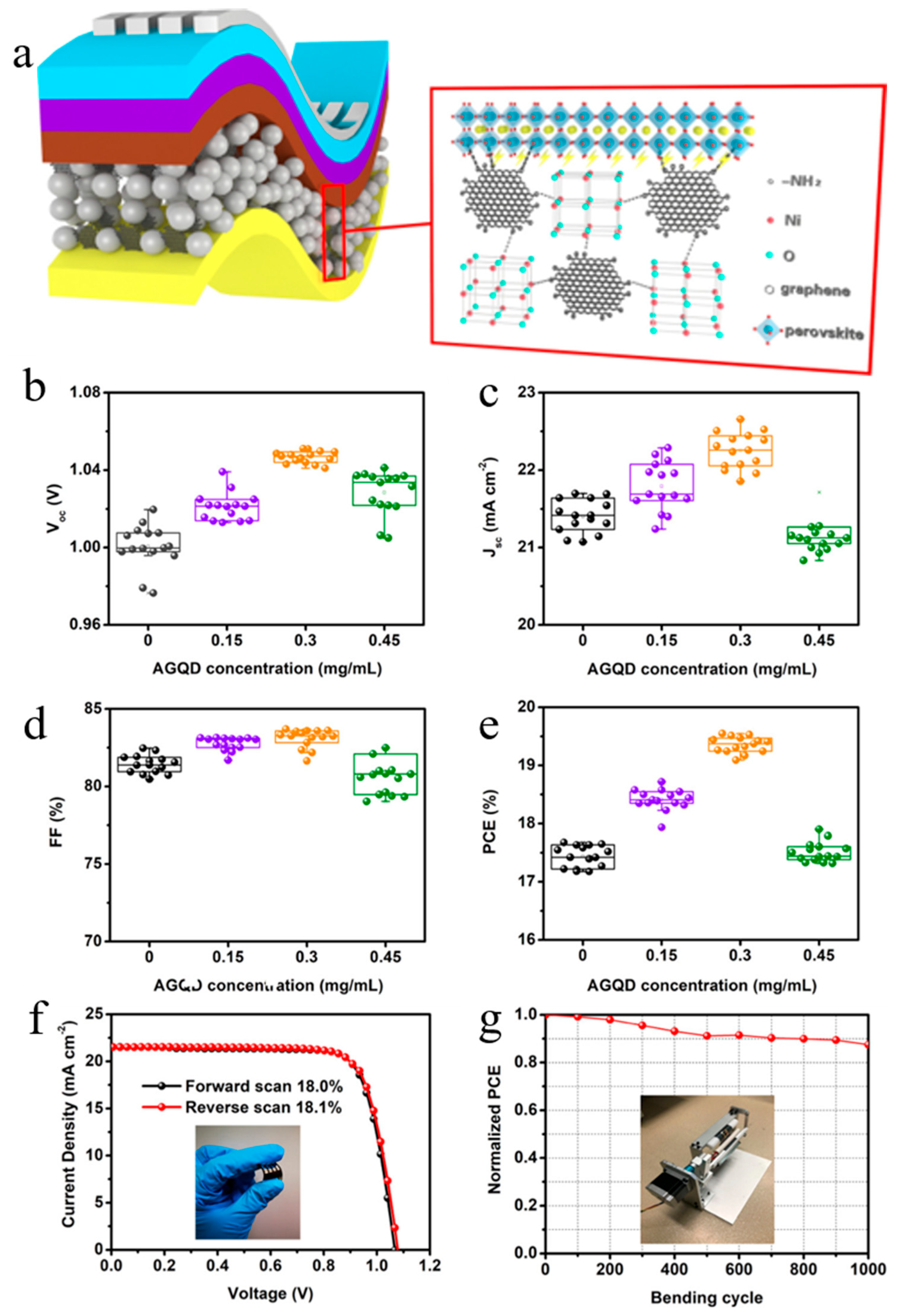 Nanomaterials 16 00913 g011 Nanomaterials 16 00913 g011