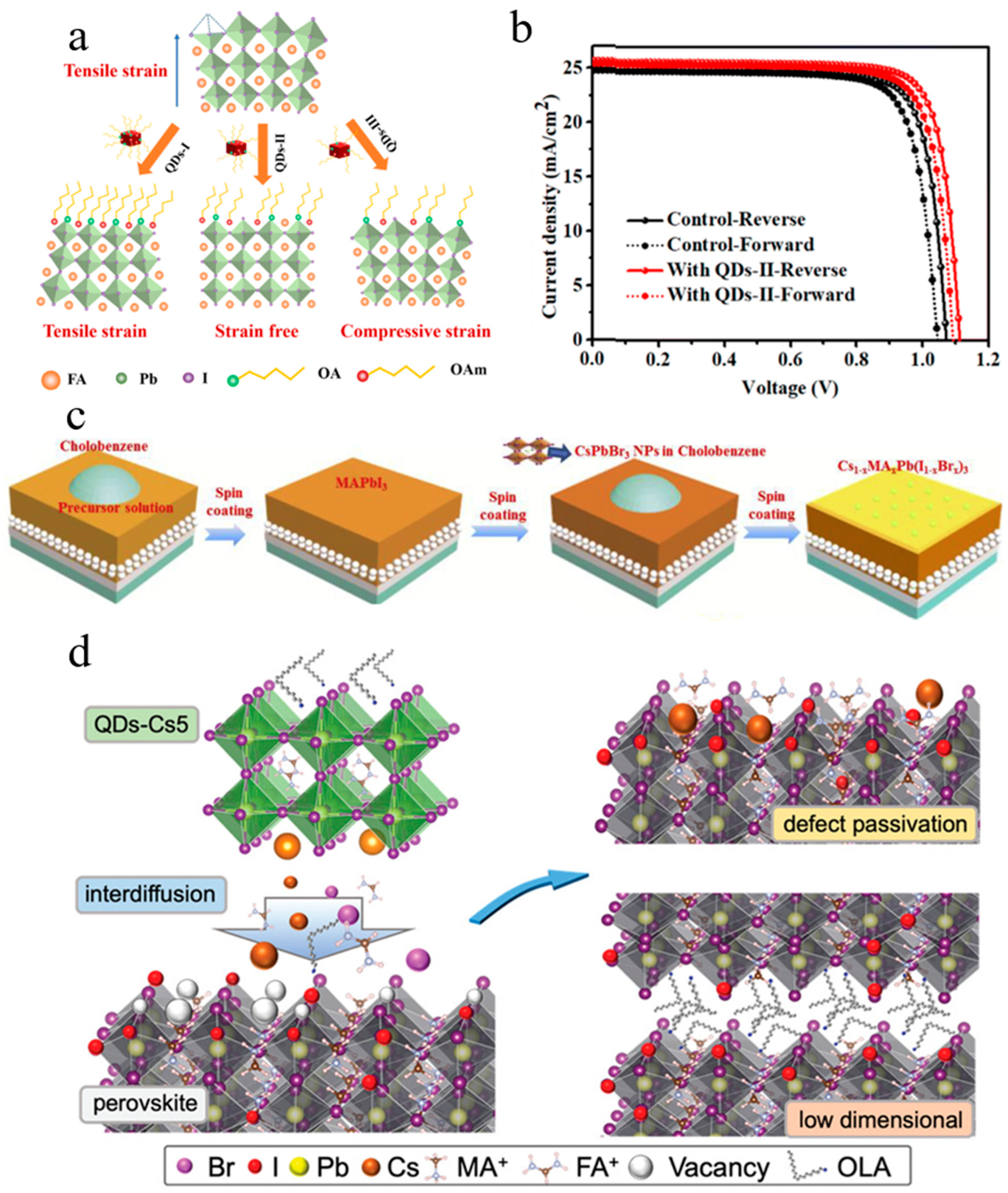 Nanomaterials 16 00913 g014 Nanomaterials 16 00913 g014