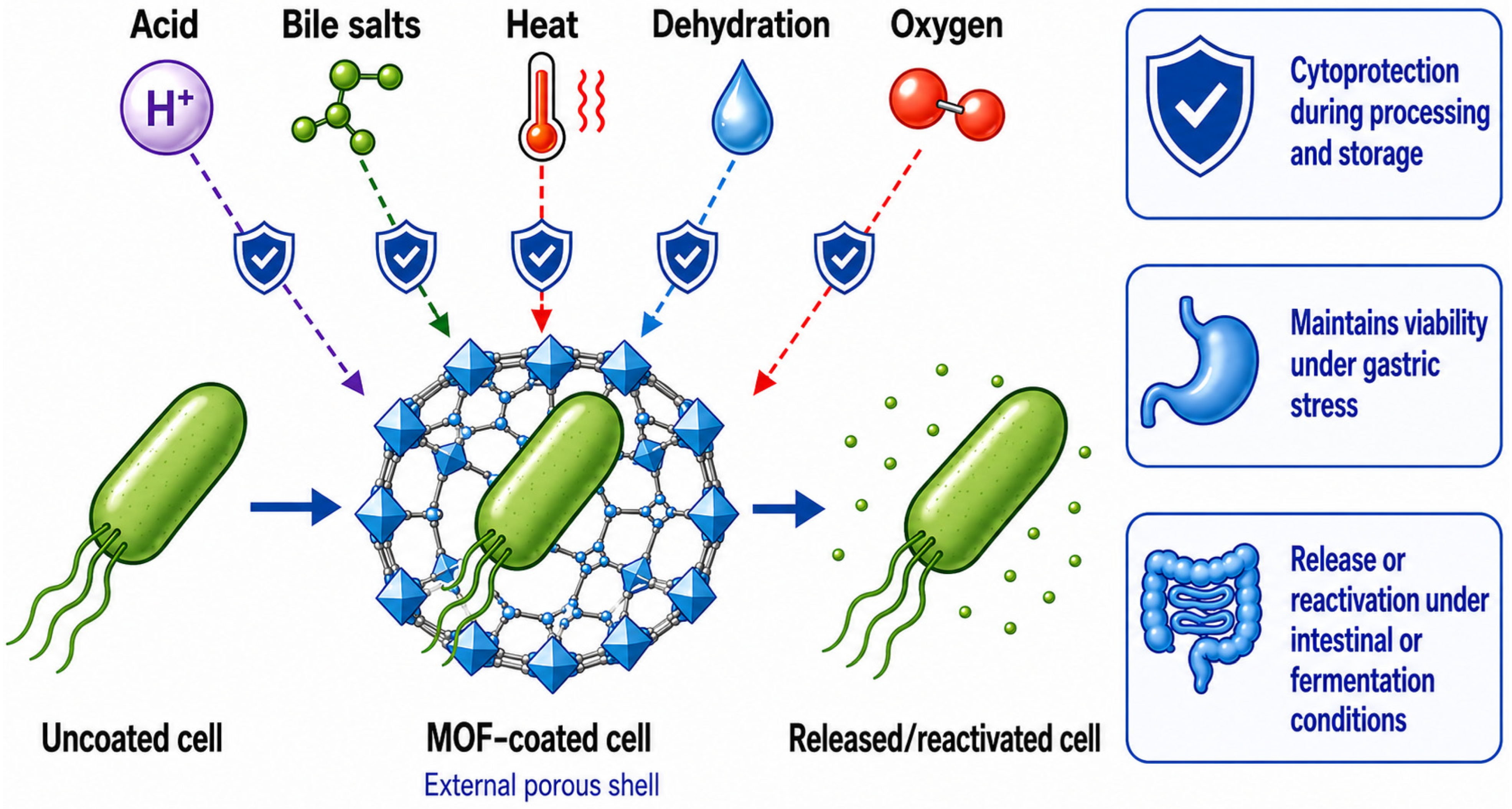 Nanomaterials 16 00946 g003 Nanomaterials 16 00946 g003