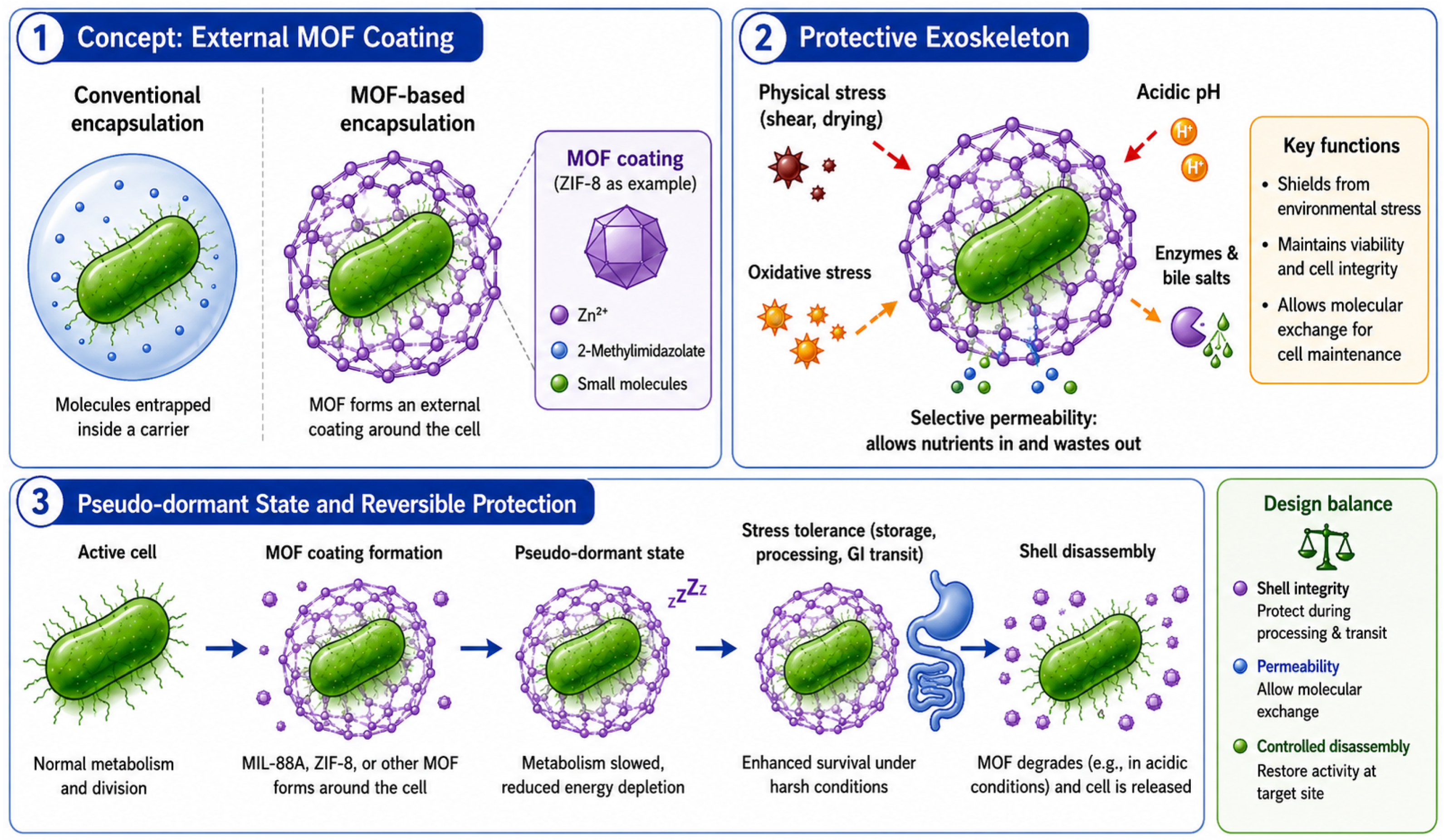 Nanomaterials 16 00946 g005 Nanomaterials 16 00946 g005