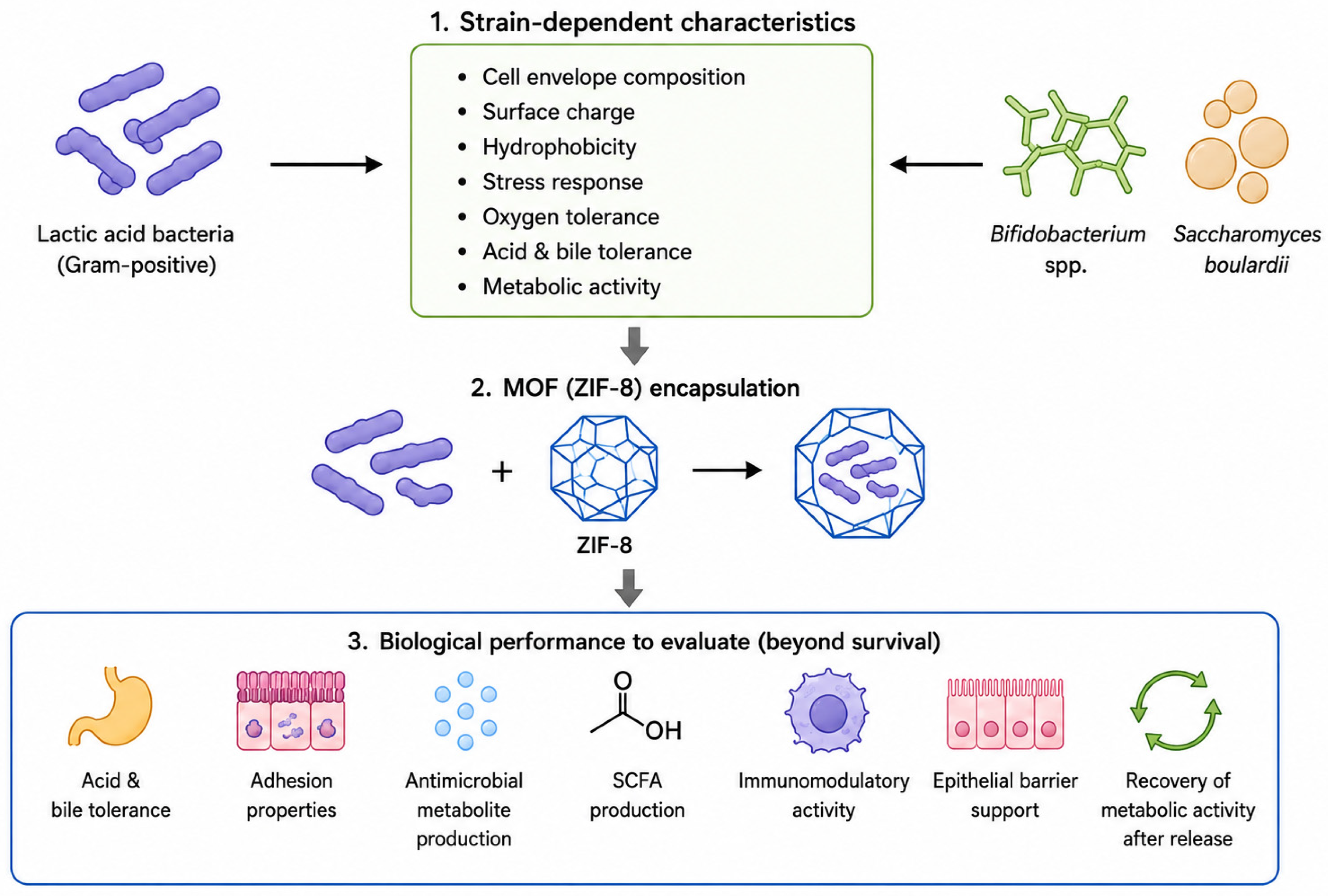 Nanomaterials 16 00946 g006 Nanomaterials 16 00946 g006