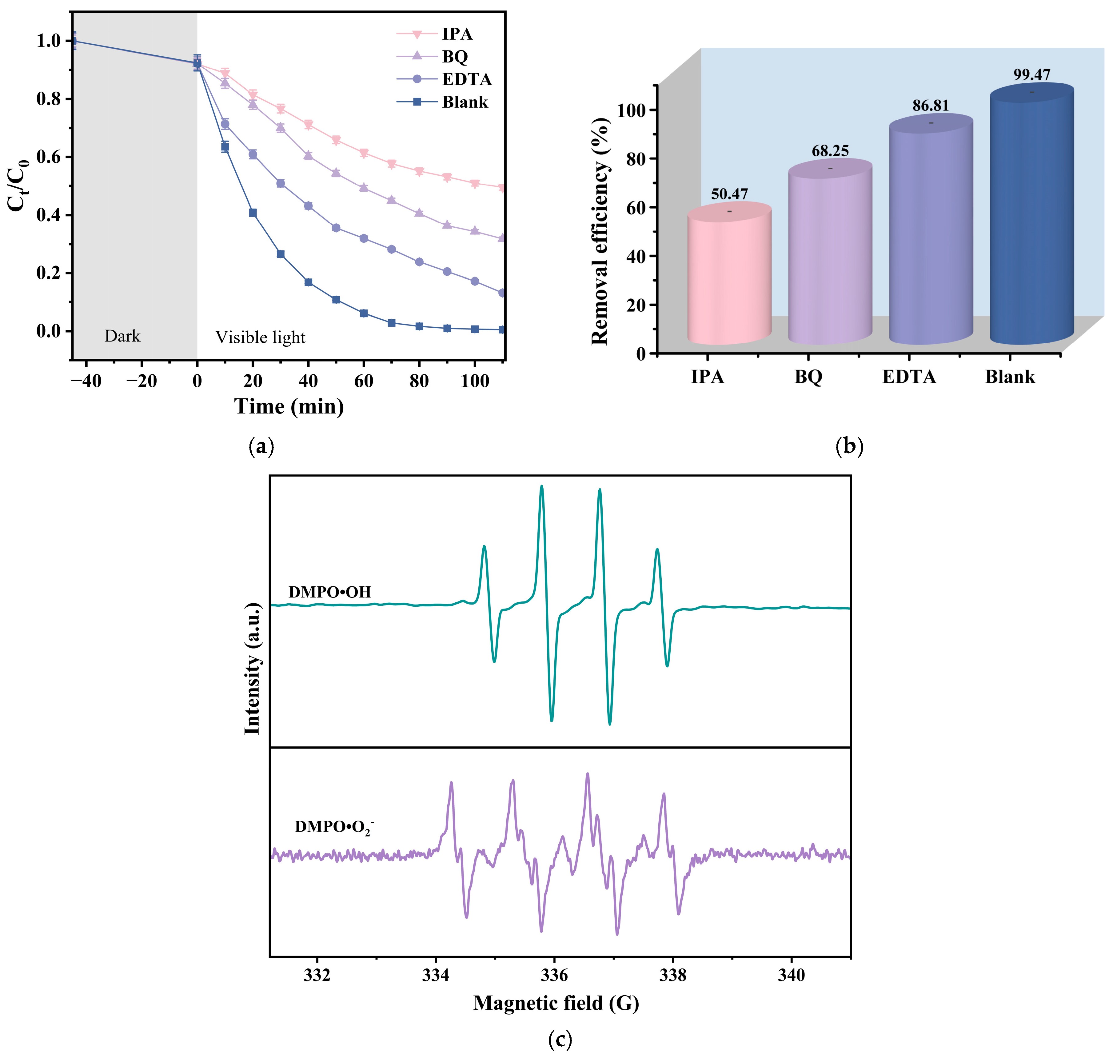 Nanomaterials 16 00951 g008 Nanomaterials 16 00951 g008
