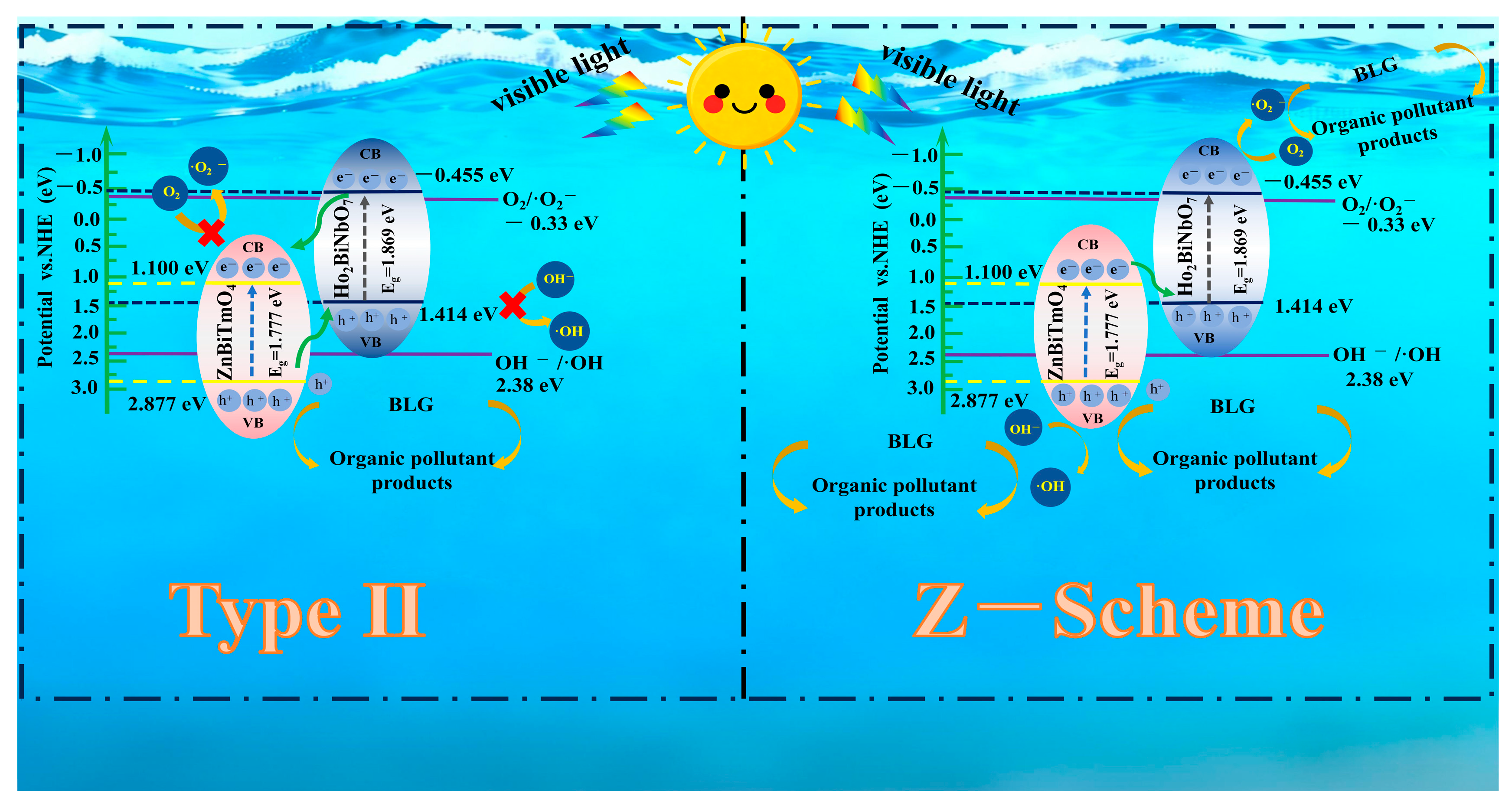 Nanomaterials 16 00951 g010 Nanomaterials 16 00951 g010