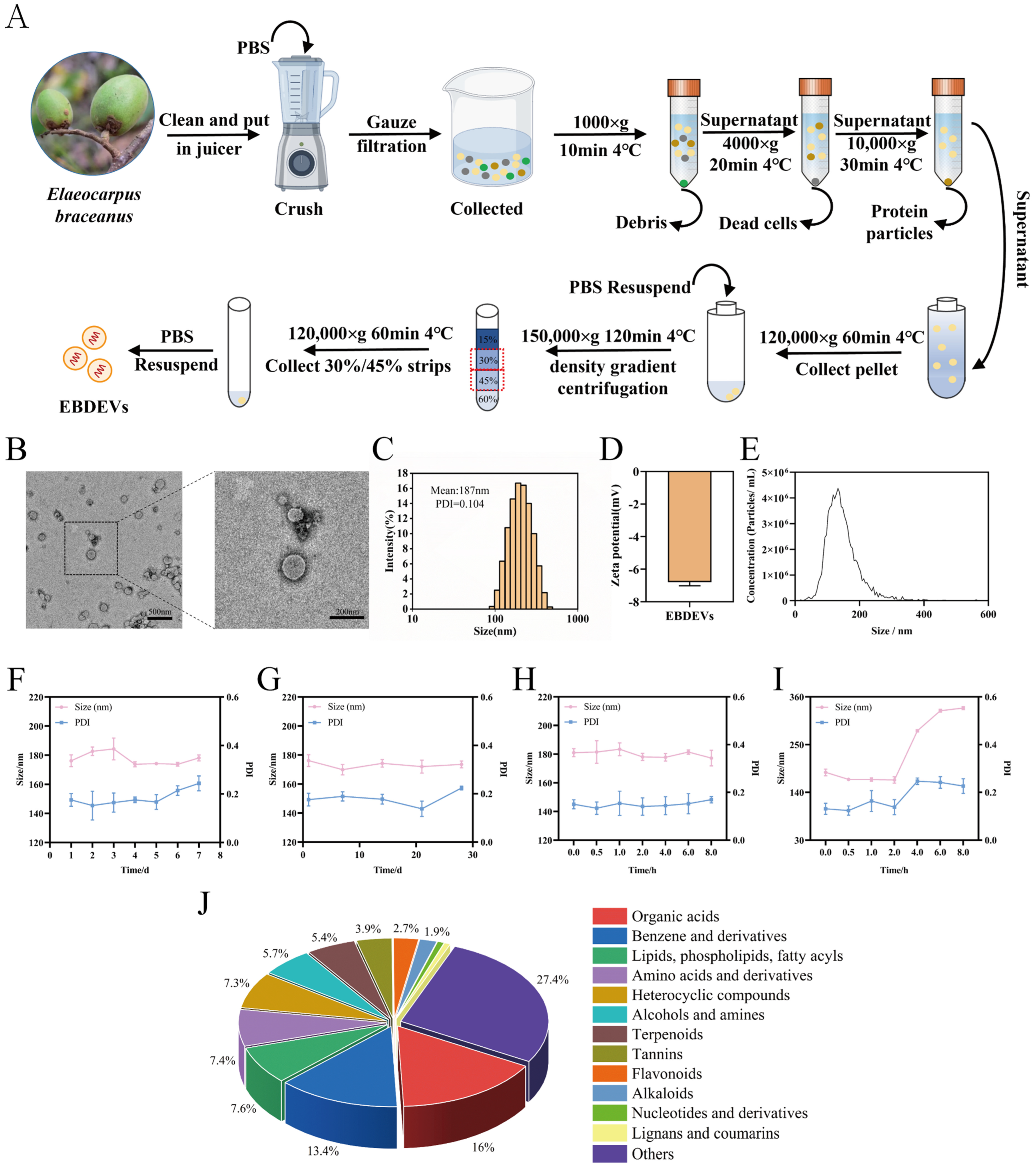 Nanomaterials 16 00968 g001 Nanomaterials 16 00968 g001