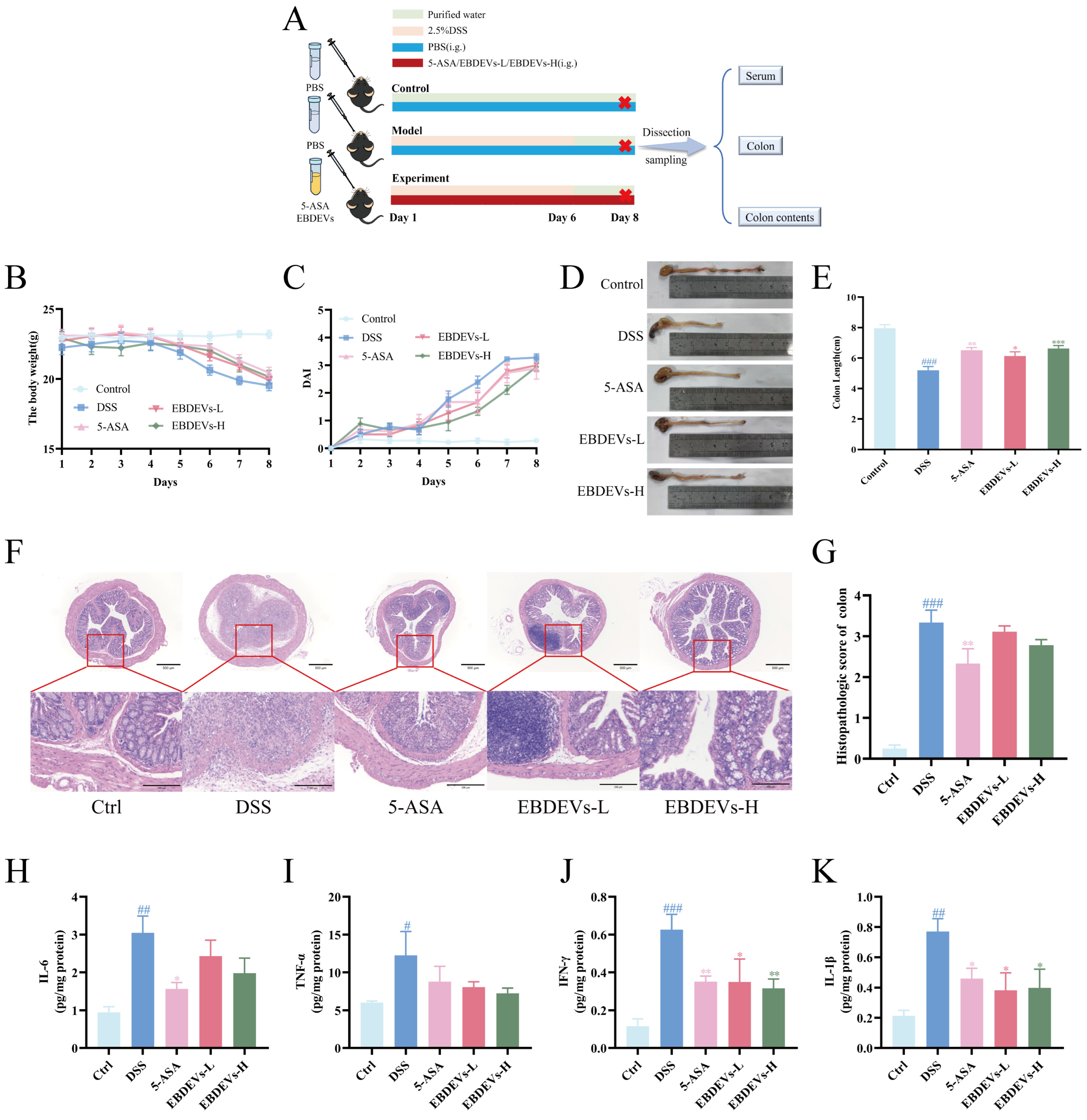 Nanomaterials 16 00968 g003 Nanomaterials 16 00968 g003