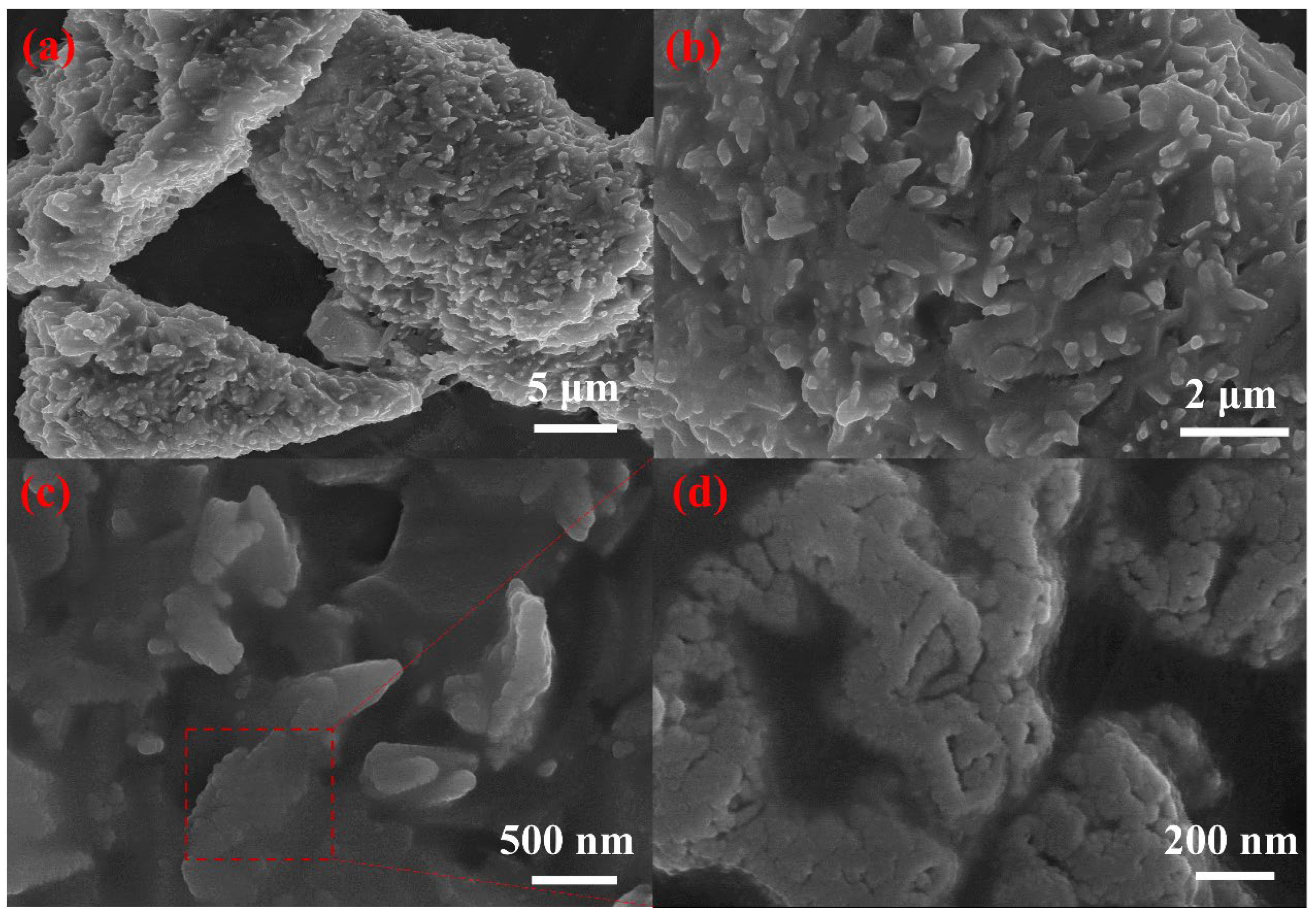 Nanomaterials 16 01091 g003 Nanomaterials 16 01091 g003