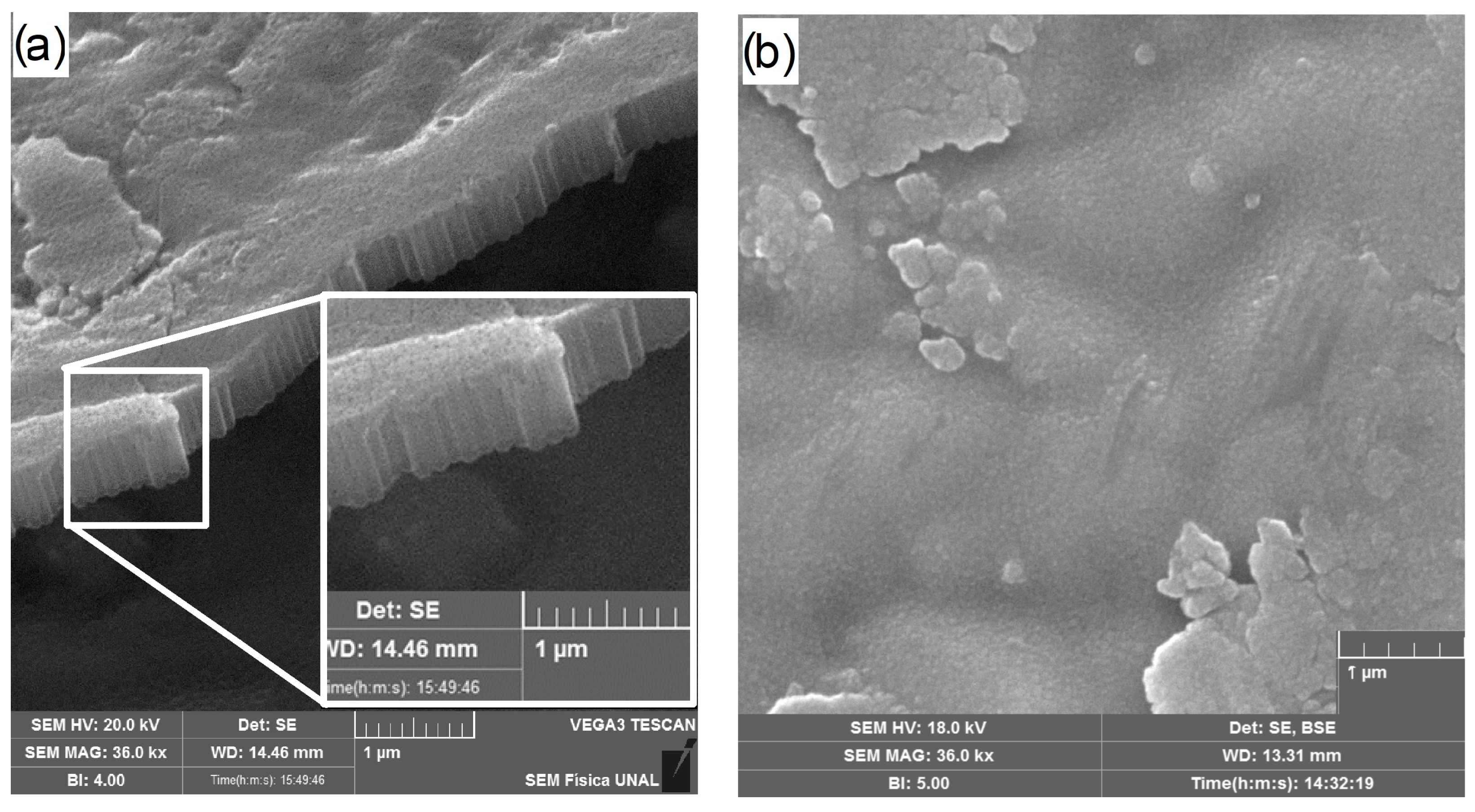 Nanomaterials 16 01181 g004 Nanomaterials 16 01181 g004