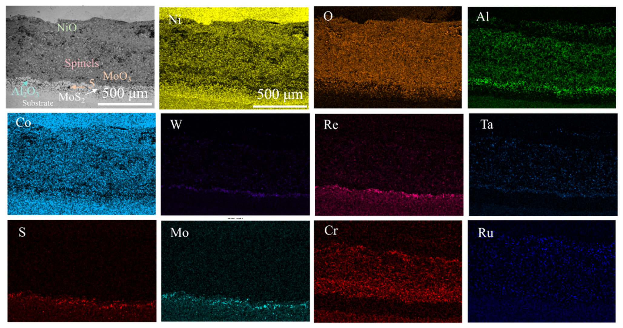 Nanomaterials 16 01225 g007