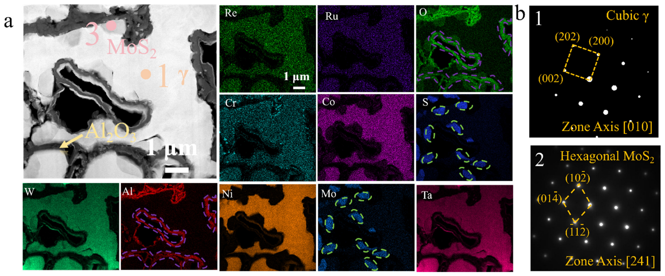 Nanomaterials 16 01225 g008