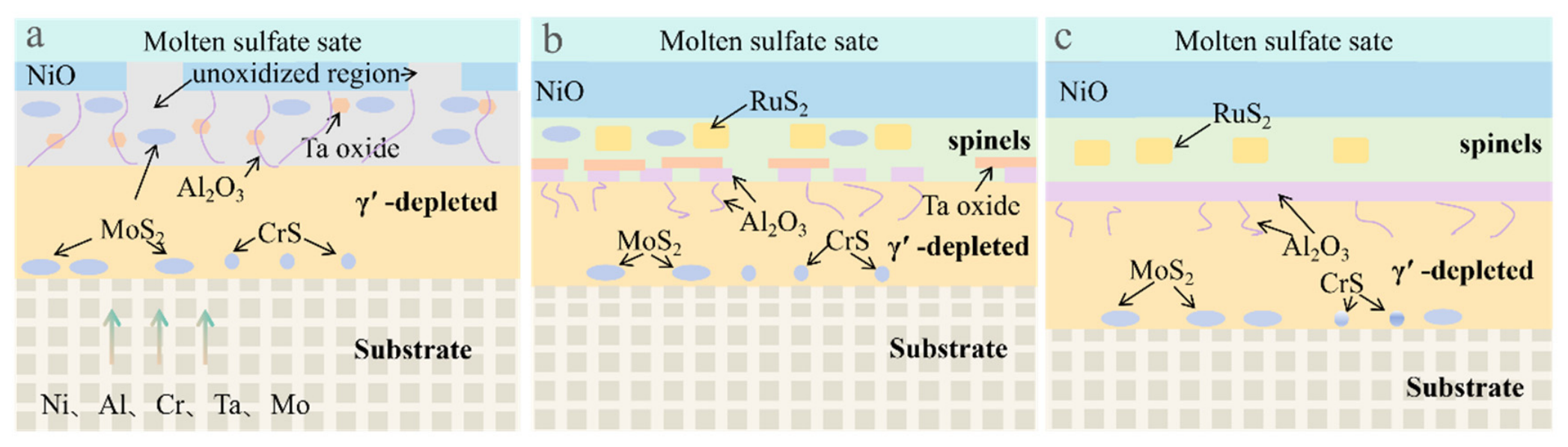 Nanomaterials 16 01225 g010