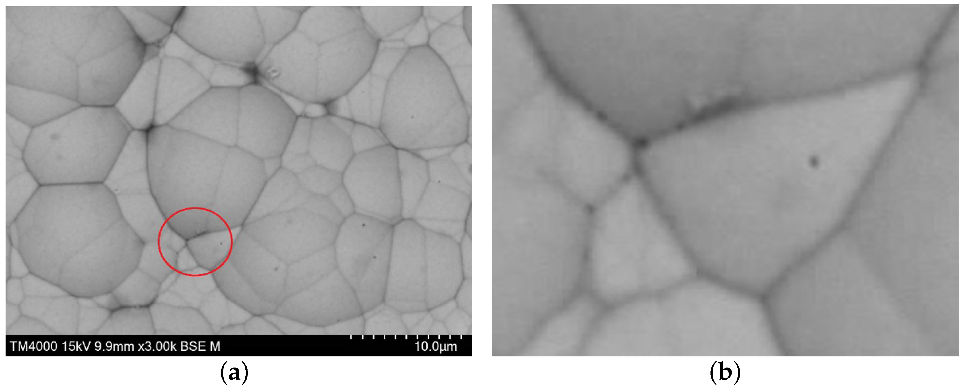 Nanomaterials 16 01240 g003 Nanomaterials 16 01240 g003