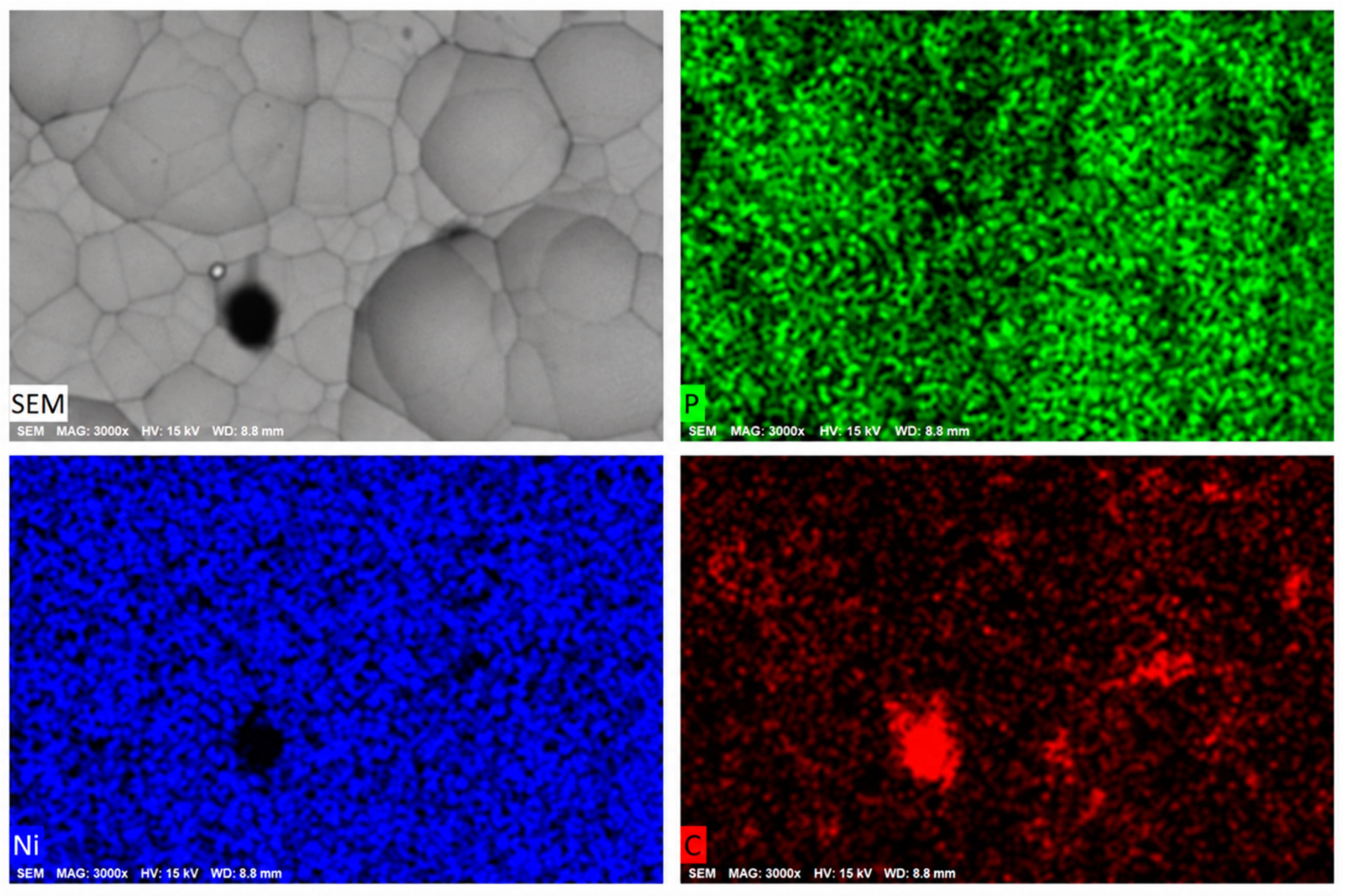 Nanomaterials 16 01240 g004 Nanomaterials 16 01240 g004