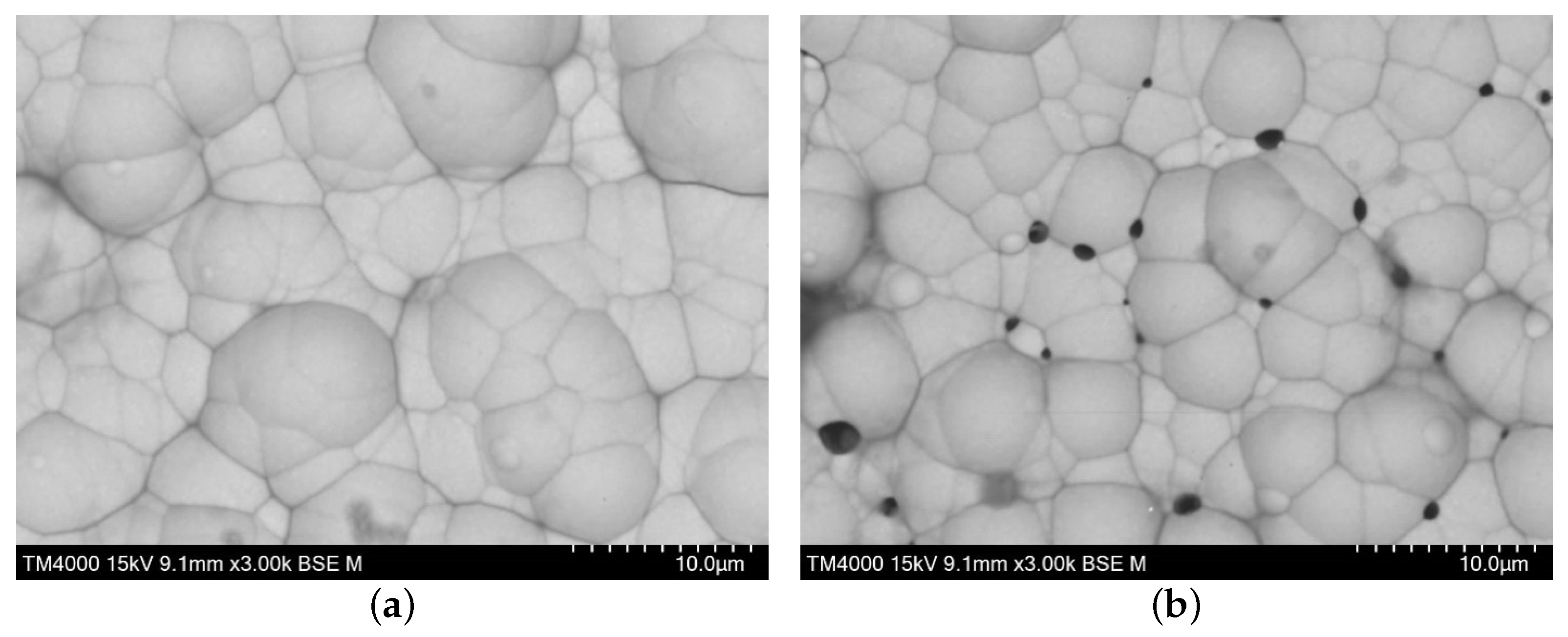 Nanomaterials 16 01240 g008 Nanomaterials 16 01240 g008