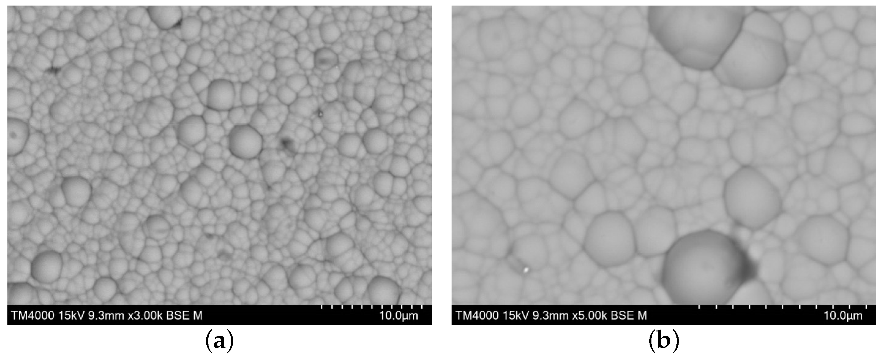 Nanomaterials 16 01240 g013 Nanomaterials 16 01240 g013