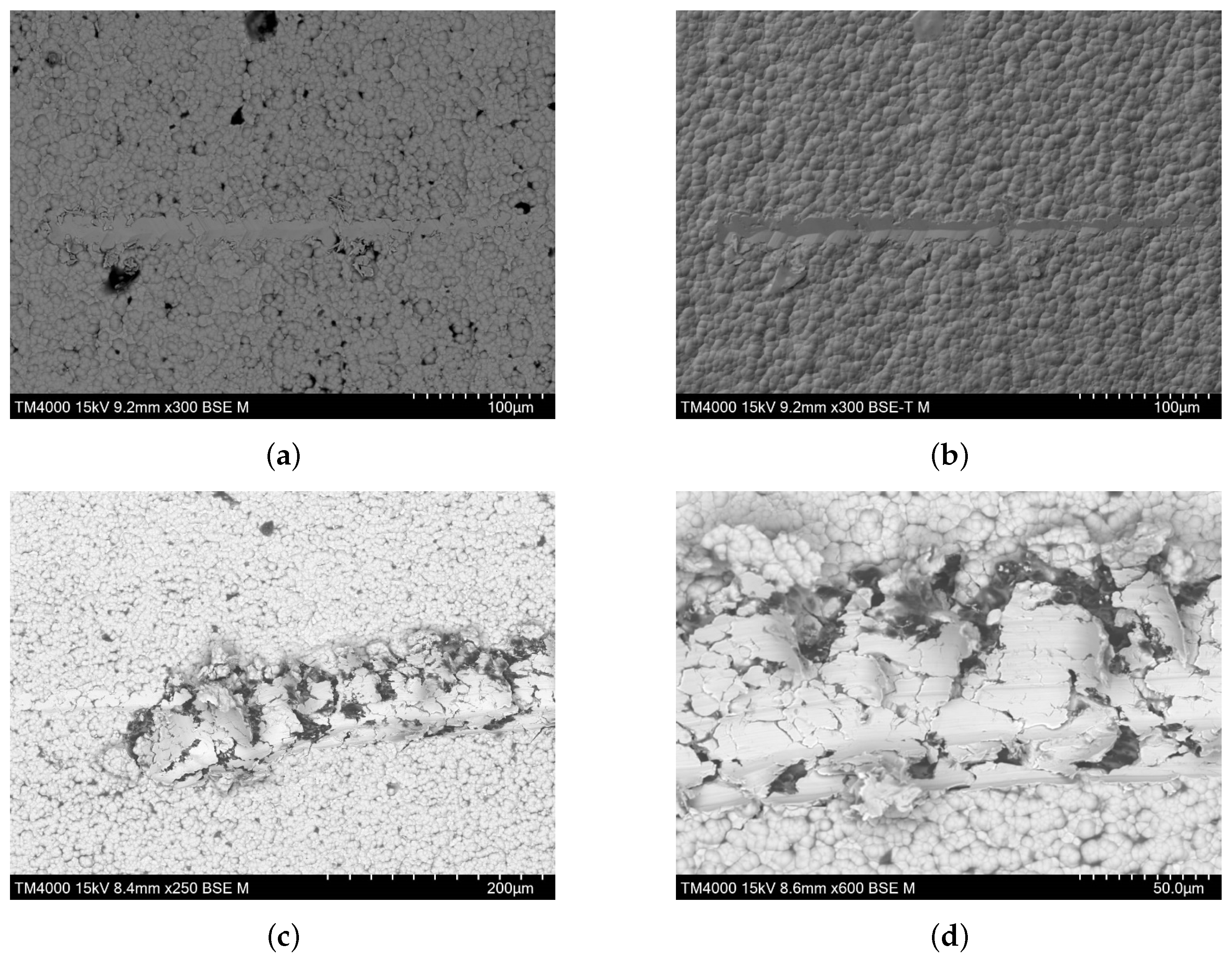 Nanomaterials 16 01240 g019 Nanomaterials 16 01240 g019