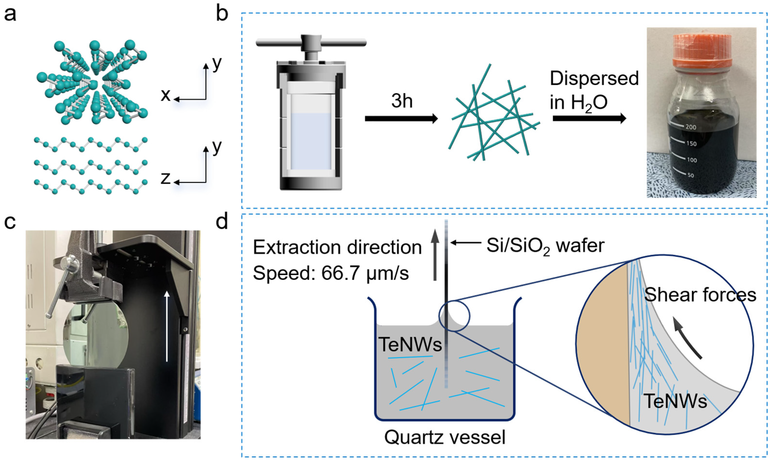 Nanomaterials 16 01251 g001 Nanomaterials 16 01251 g001
