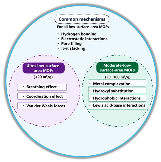 Functional Vs Matrix Challenging the Surface Area Paradigm: A Critical Review of Low-BET ...