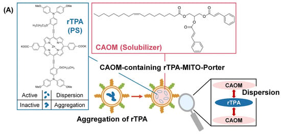 Nanomaterials 16 01329 g001a Nanomaterials 16 01329 g001a