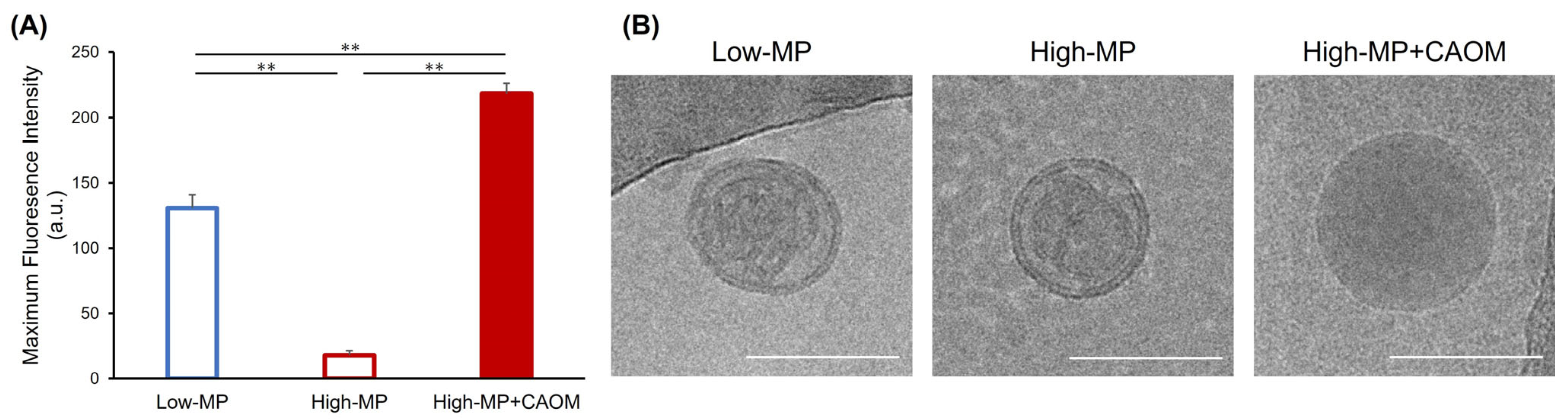 Nanomaterials 16 01329 g006 Nanomaterials 16 01329 g006
