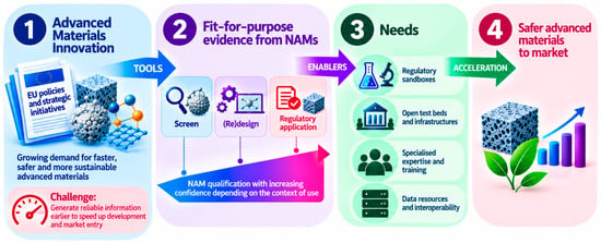 Potential contributions of NAMs in innovation.