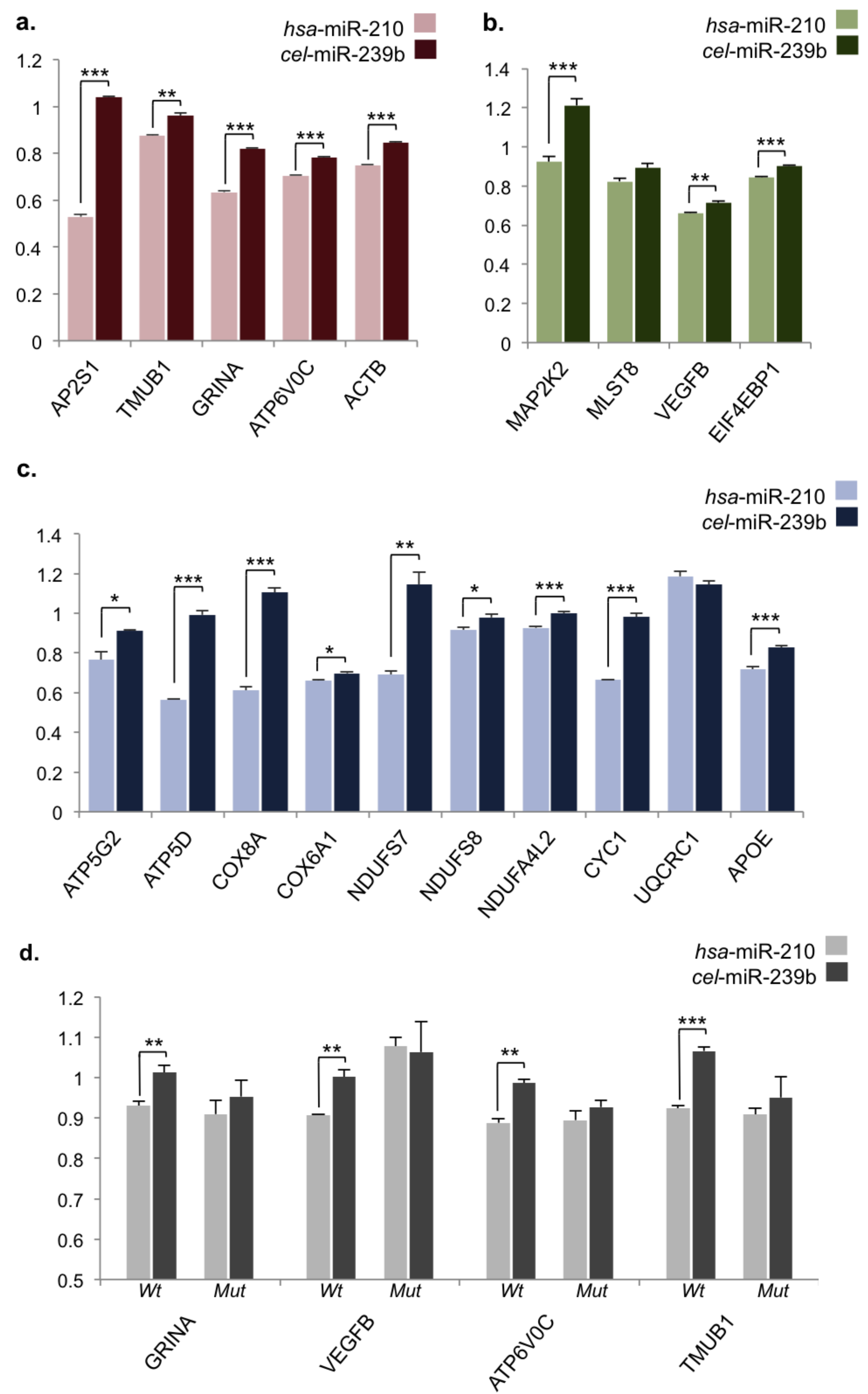 Ncrna 04 00010 g002 Ncrna 04 00010 g002