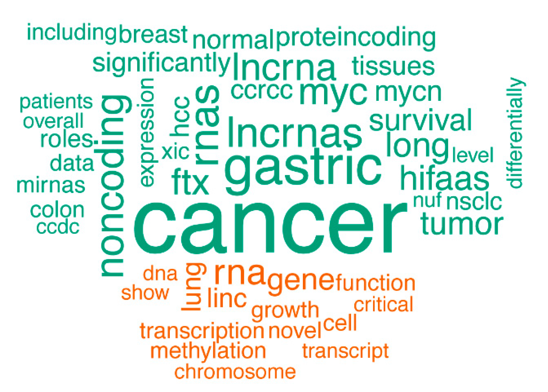 Ncrna 04 00021 g003 Ncrna 04 00021 g003