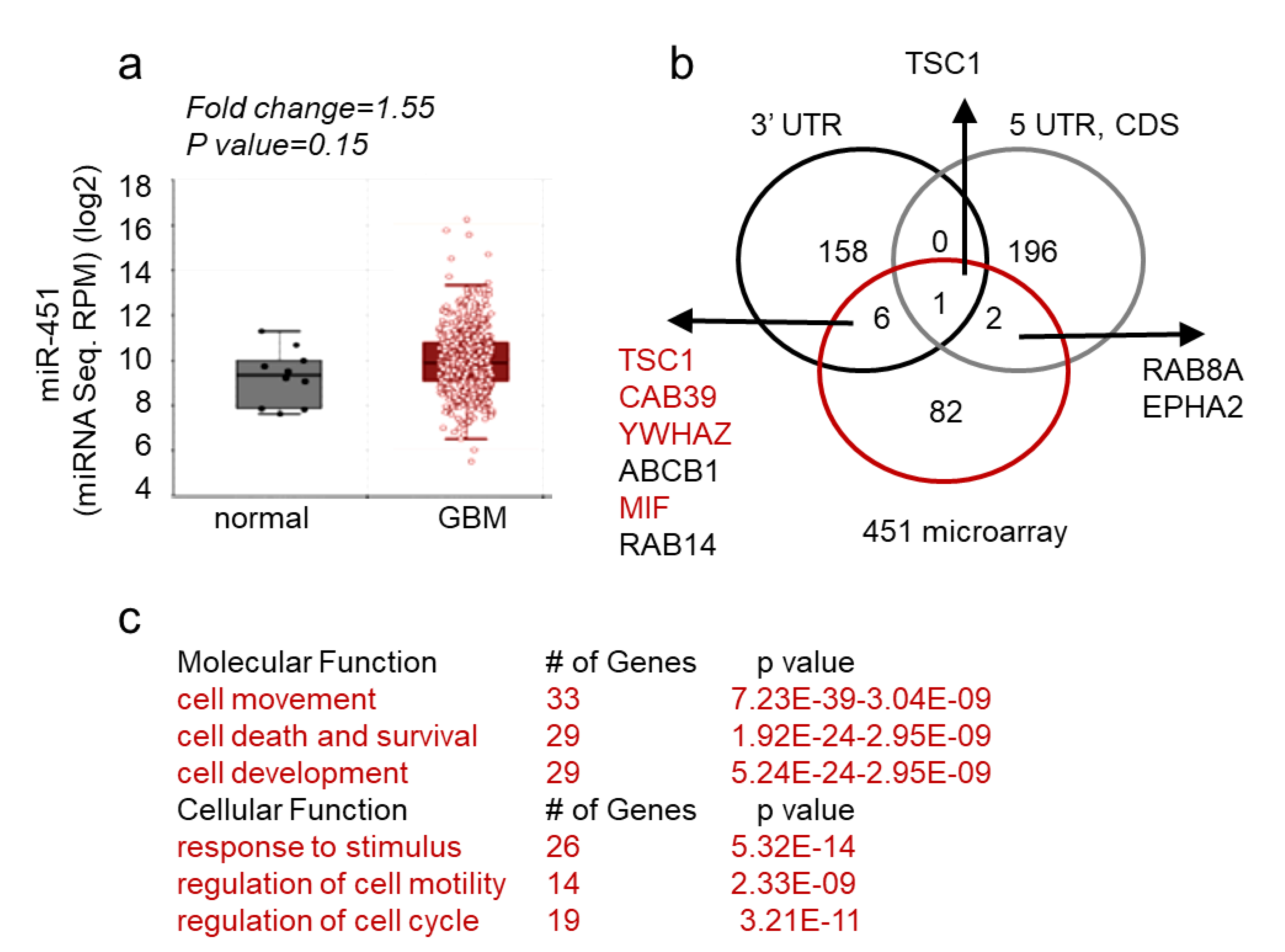 Ncrna 05 00025 g005 Ncrna 05 00025 g005
