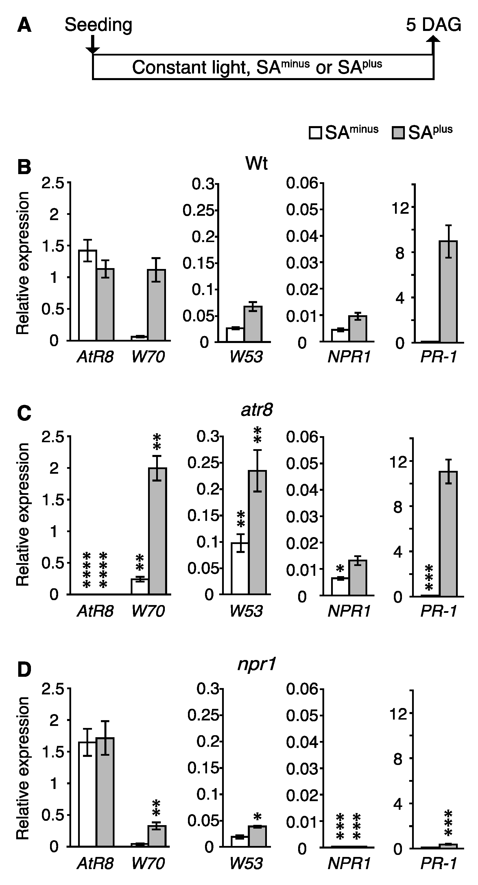 Ncrna 06 00008 g008 Ncrna 06 00008 g008