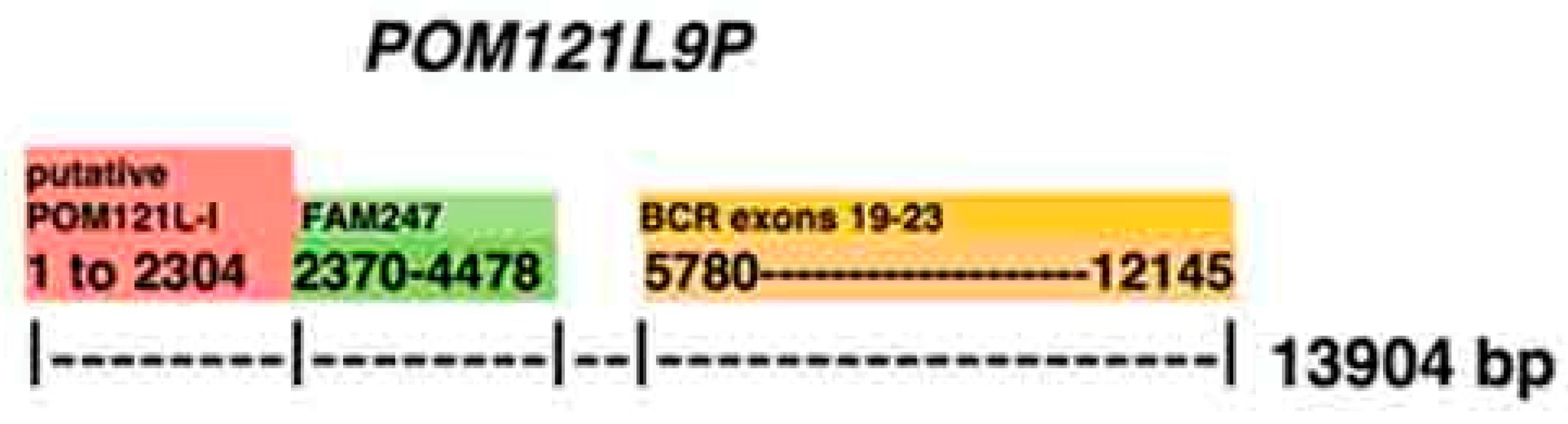 Ncrna 06 00036 g008 Ncrna 06 00036 g008