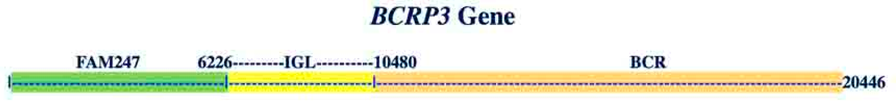 Ncrna 06 00036 g010 Ncrna 06 00036 g010