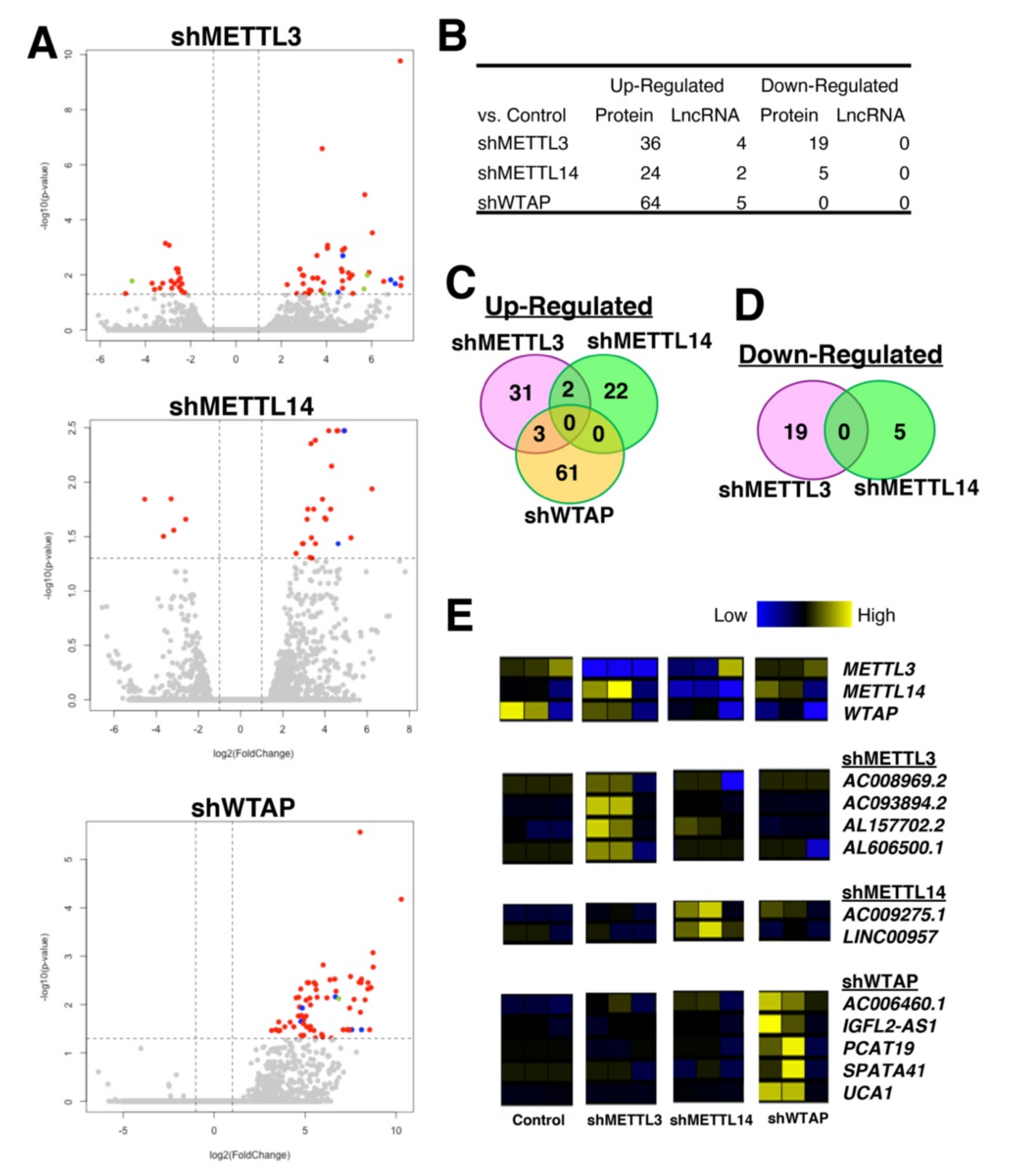 Ncrna 07 00031 g002 Ncrna 07 00031 g002