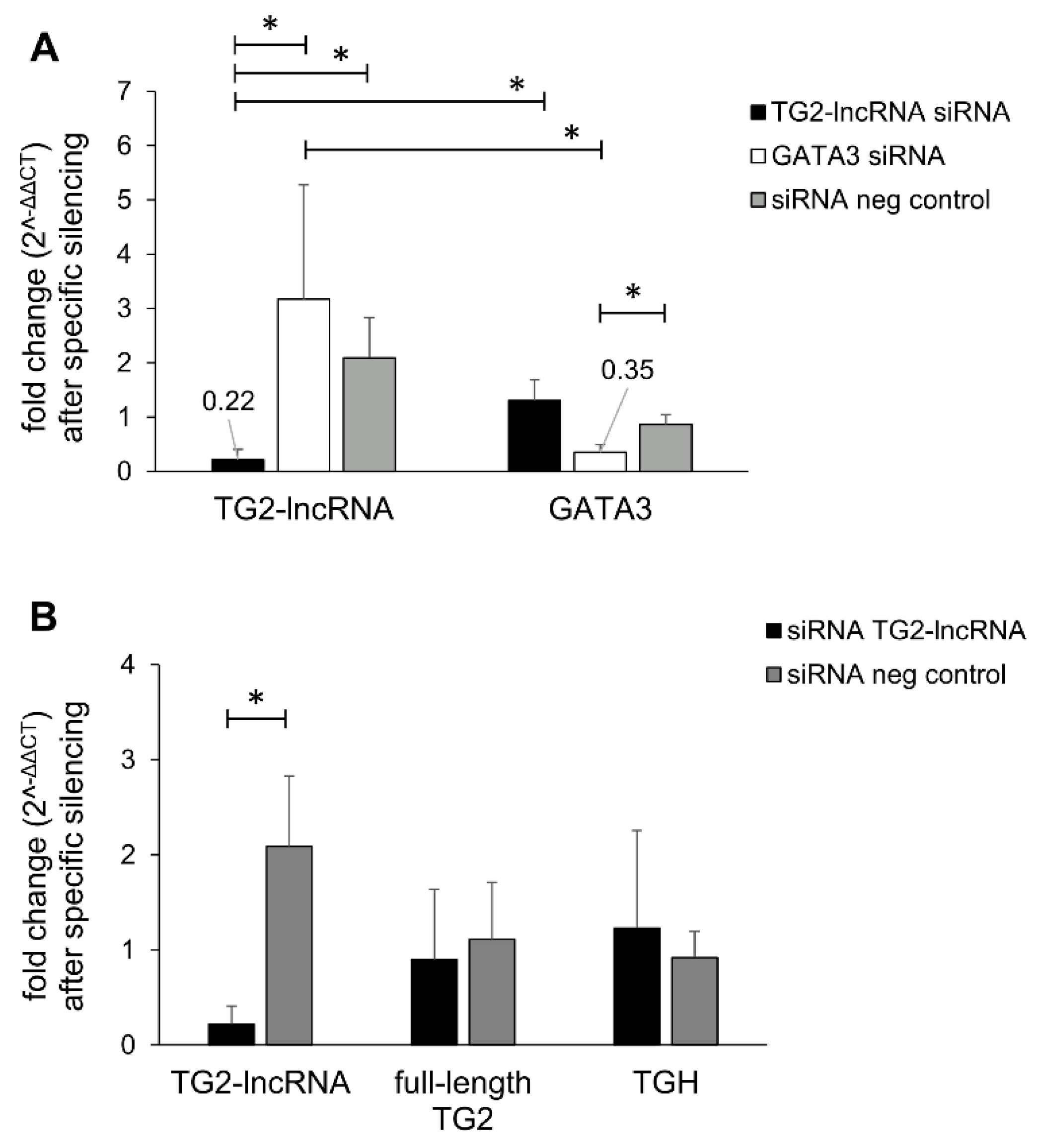 Ncrna 07 00049 g001 Ncrna 07 00049 g001