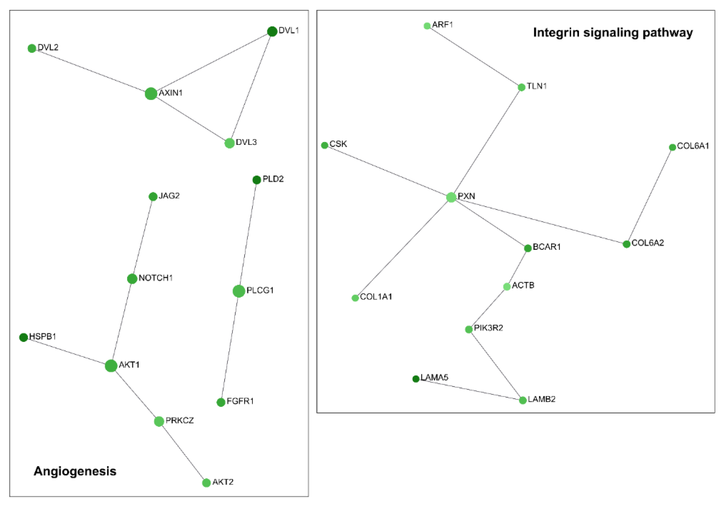 Ncrna 07 00049 g005 Ncrna 07 00049 g005