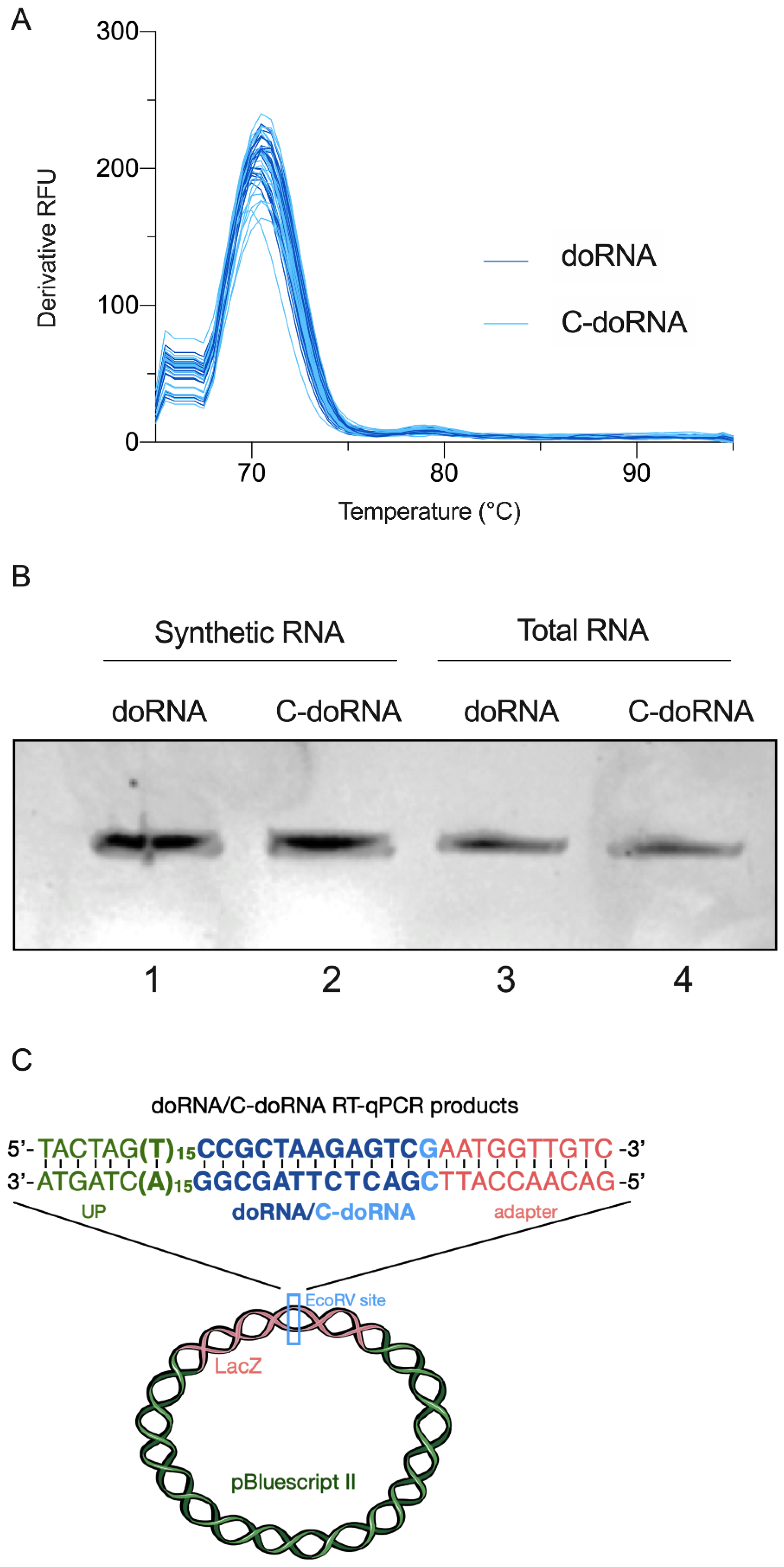 Ncrna 07 00059 g004 Ncrna 07 00059 g004