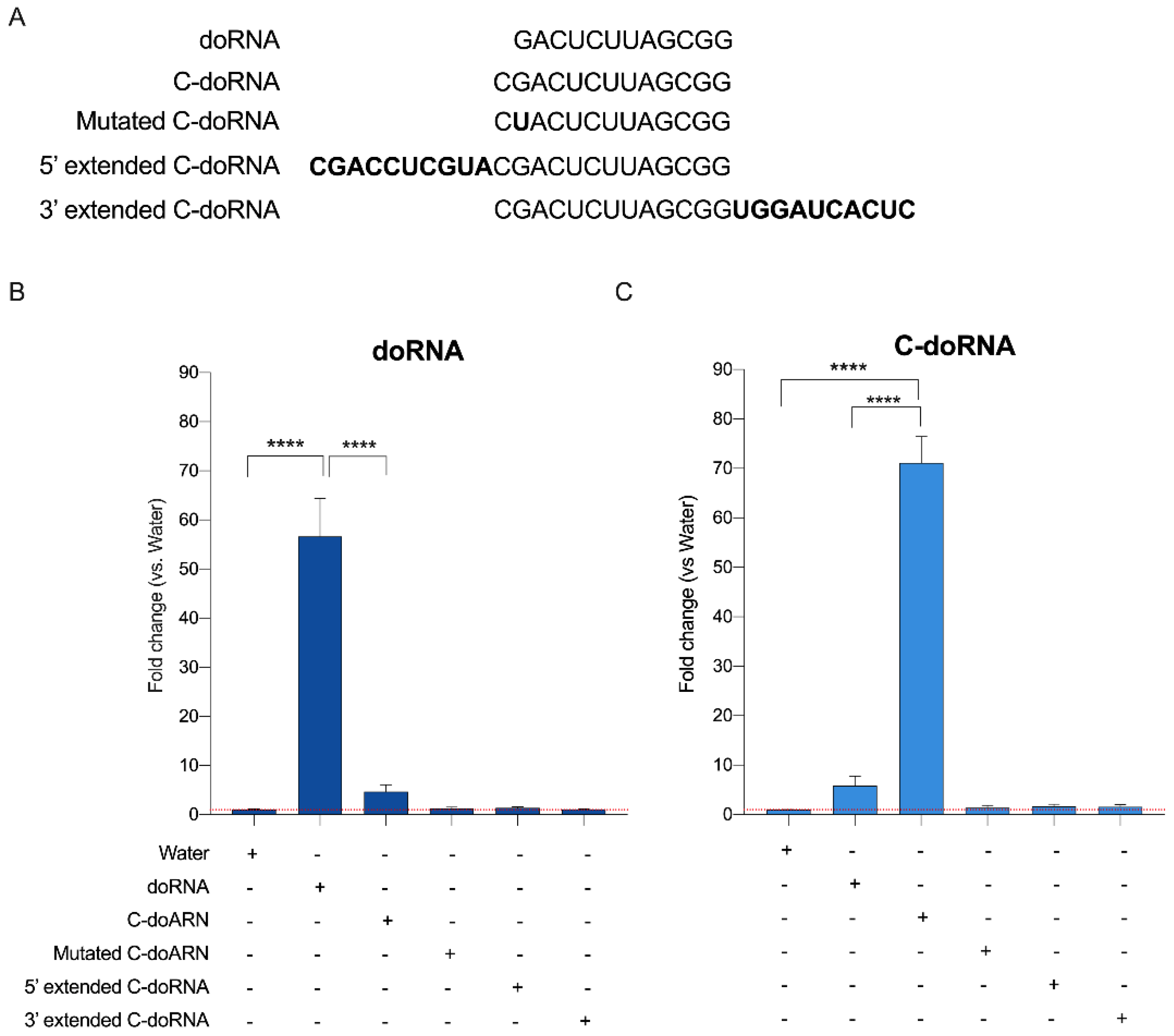 Ncrna 07 00059 g005 Ncrna 07 00059 g005