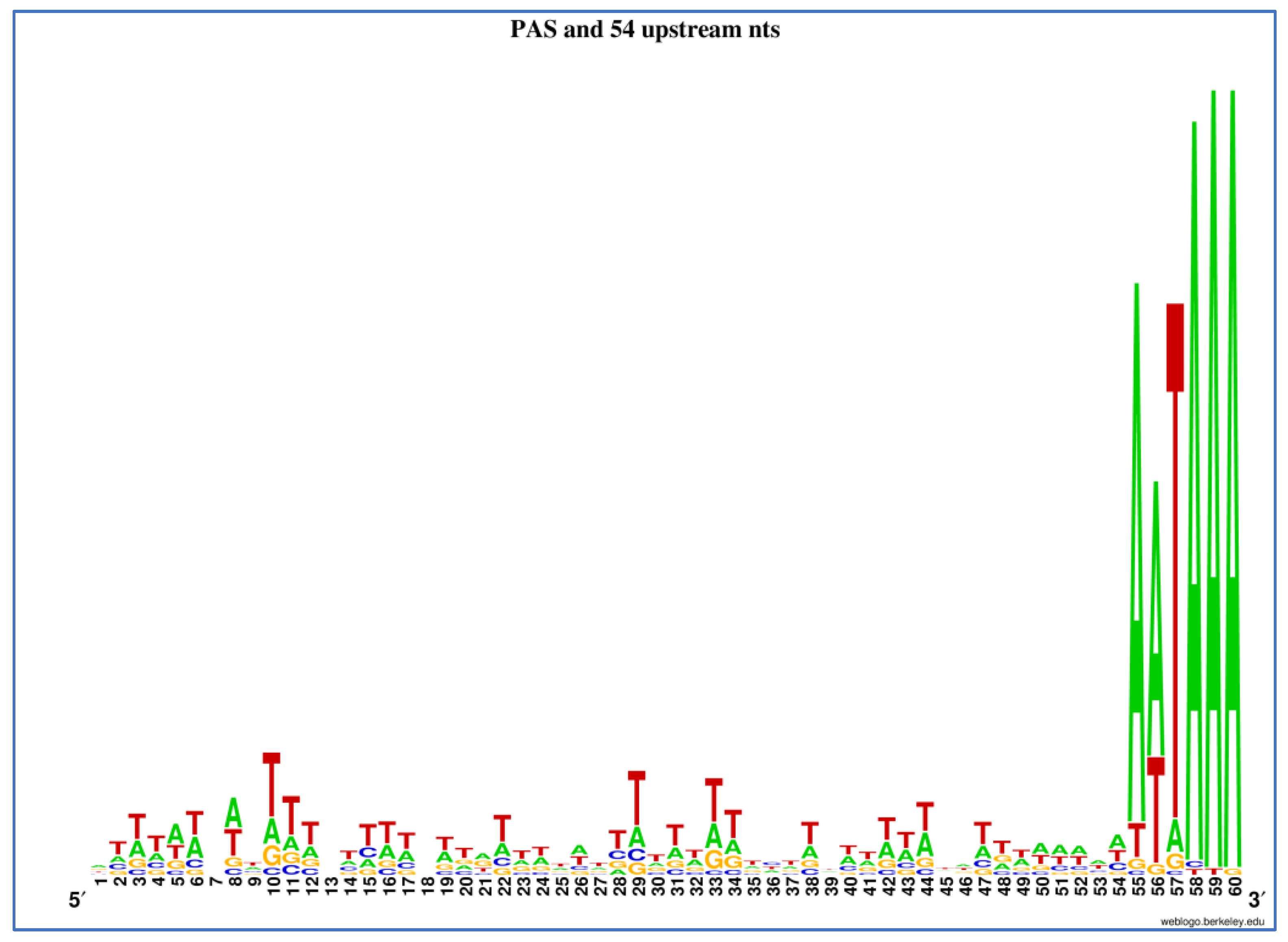 Ncrna 07 00061 g004 Ncrna 07 00061 g004