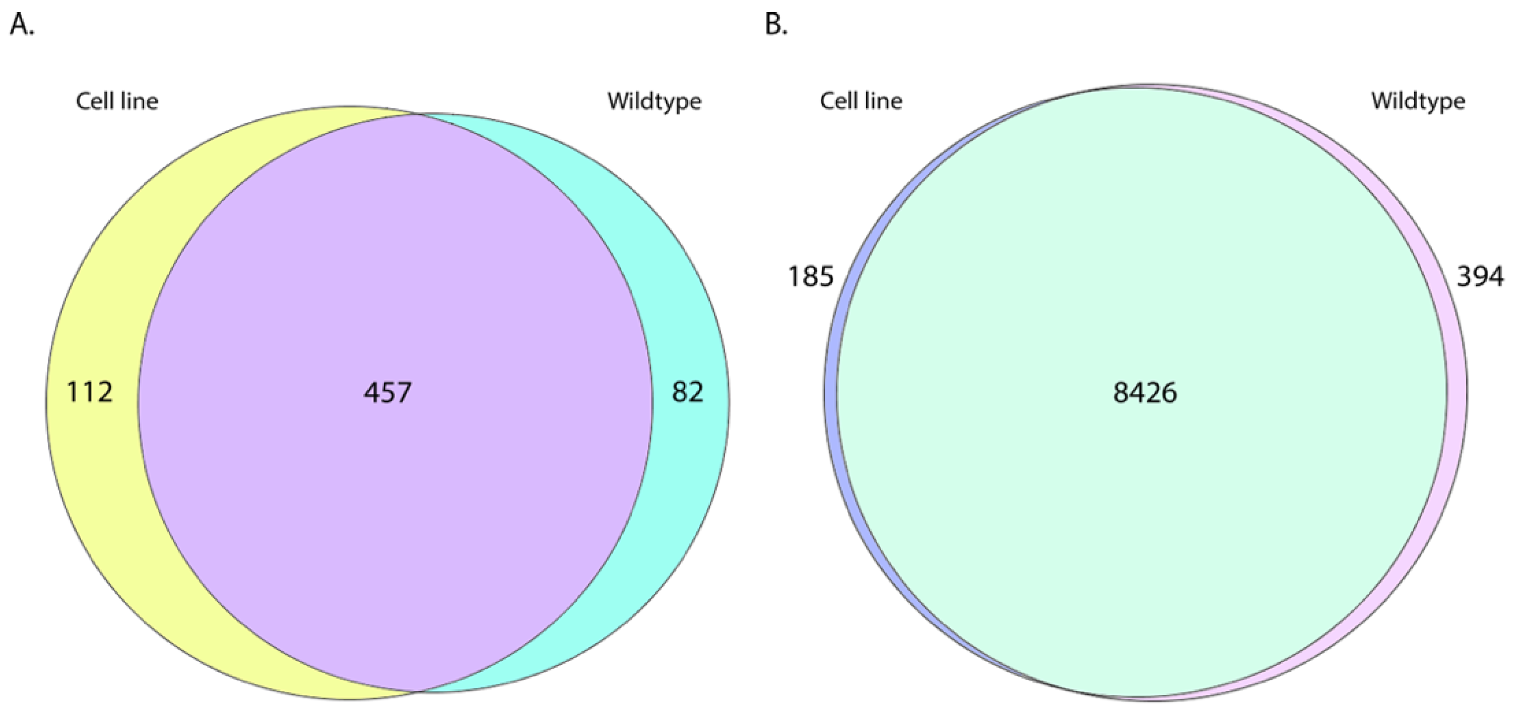 Ncrna 08 00007 g002 Ncrna 08 00007 g002