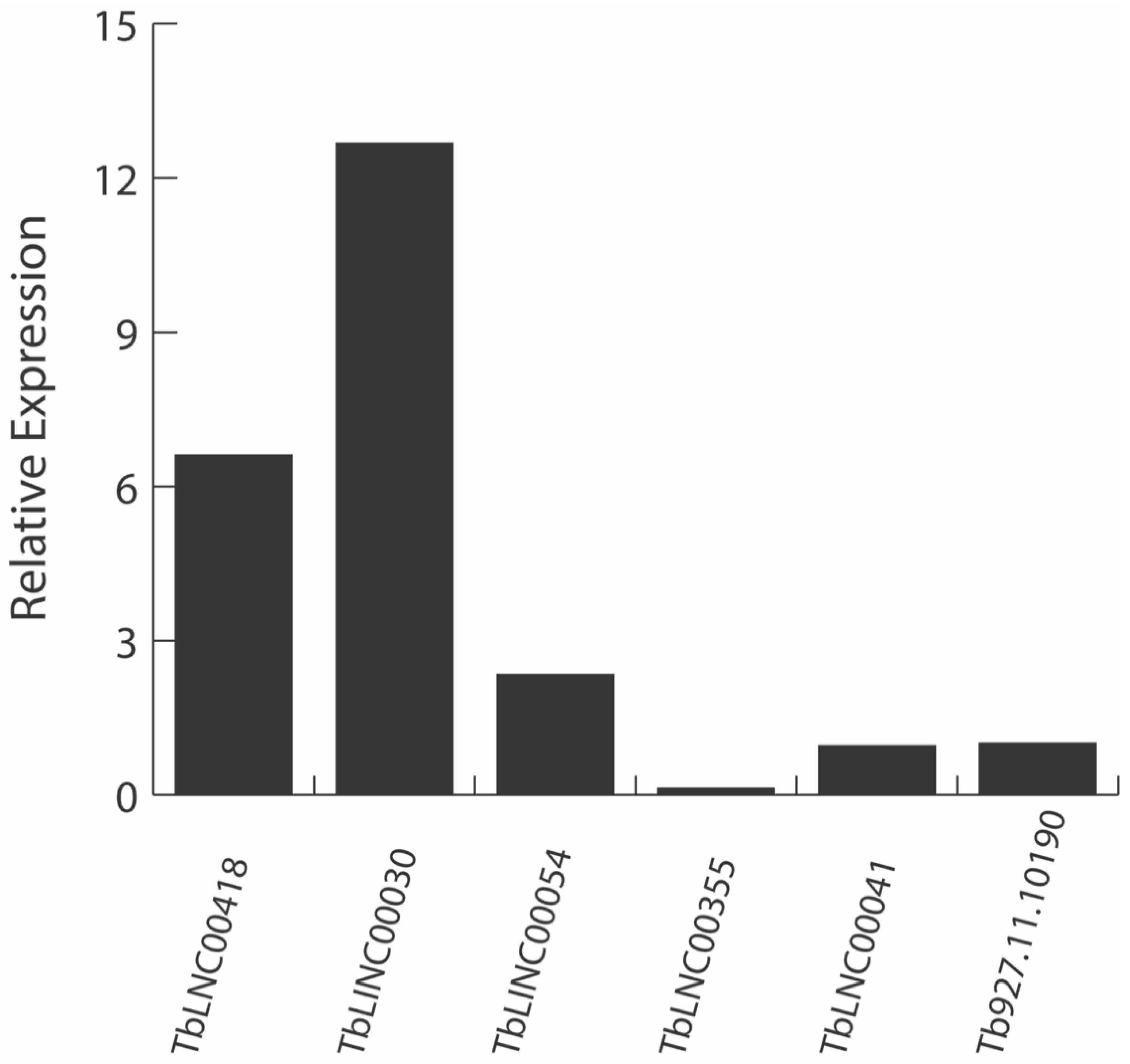 Ncrna 08 00007 g004 Ncrna 08 00007 g004