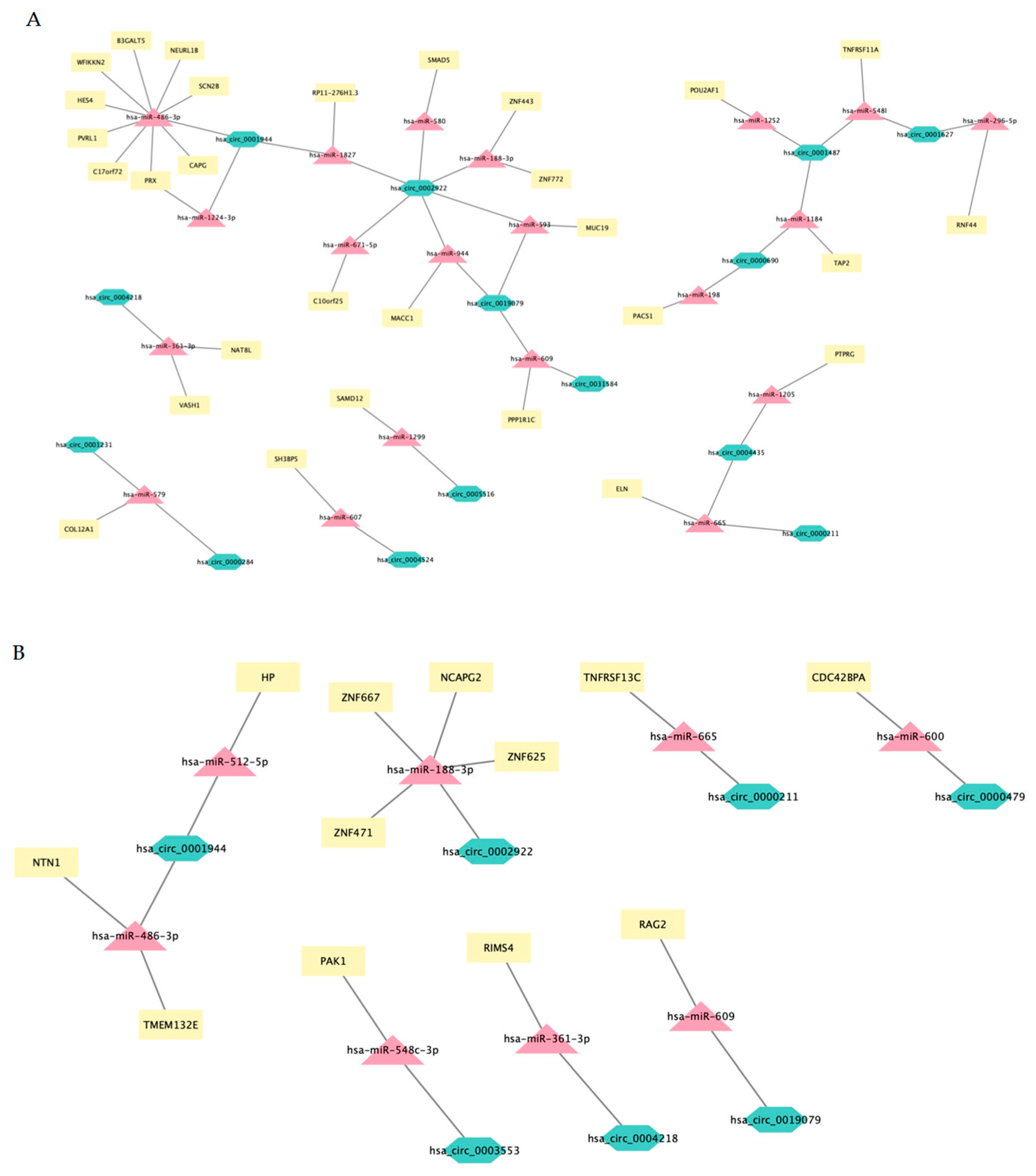 Ncrna 08 00026 g007a