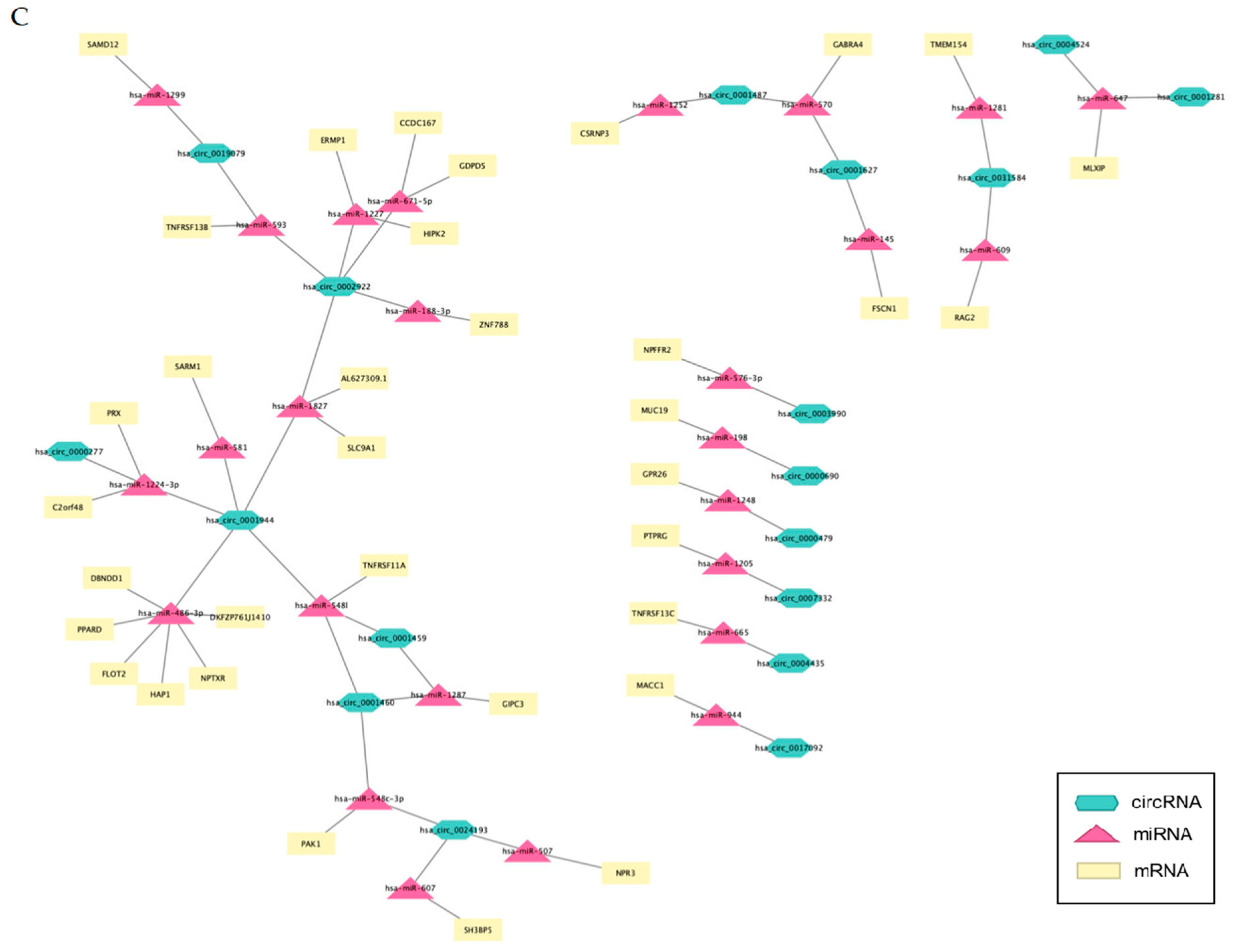 Ncrna 08 00026 g007b