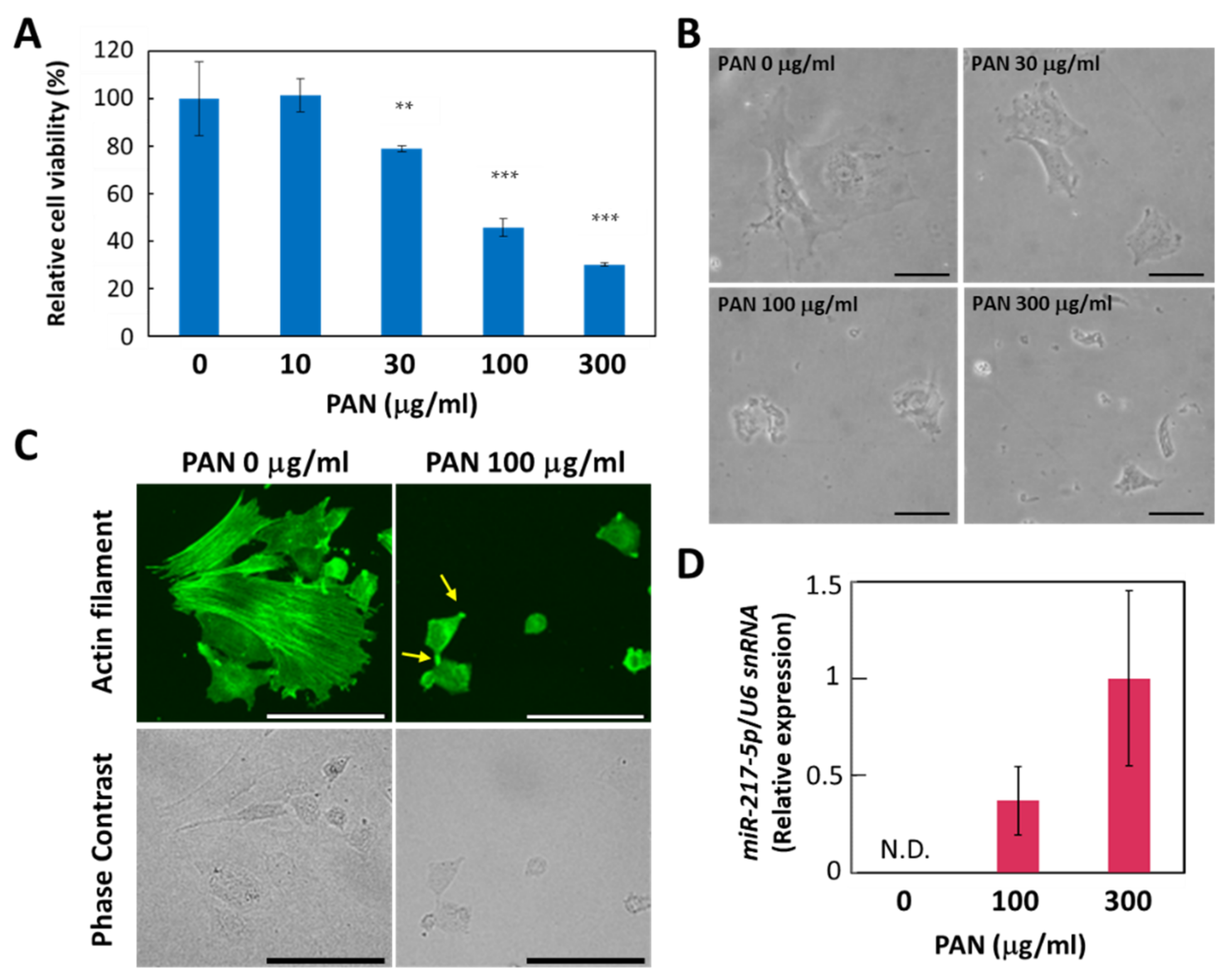 Ncrna 08 00043 g003 Ncrna 08 00043 g003