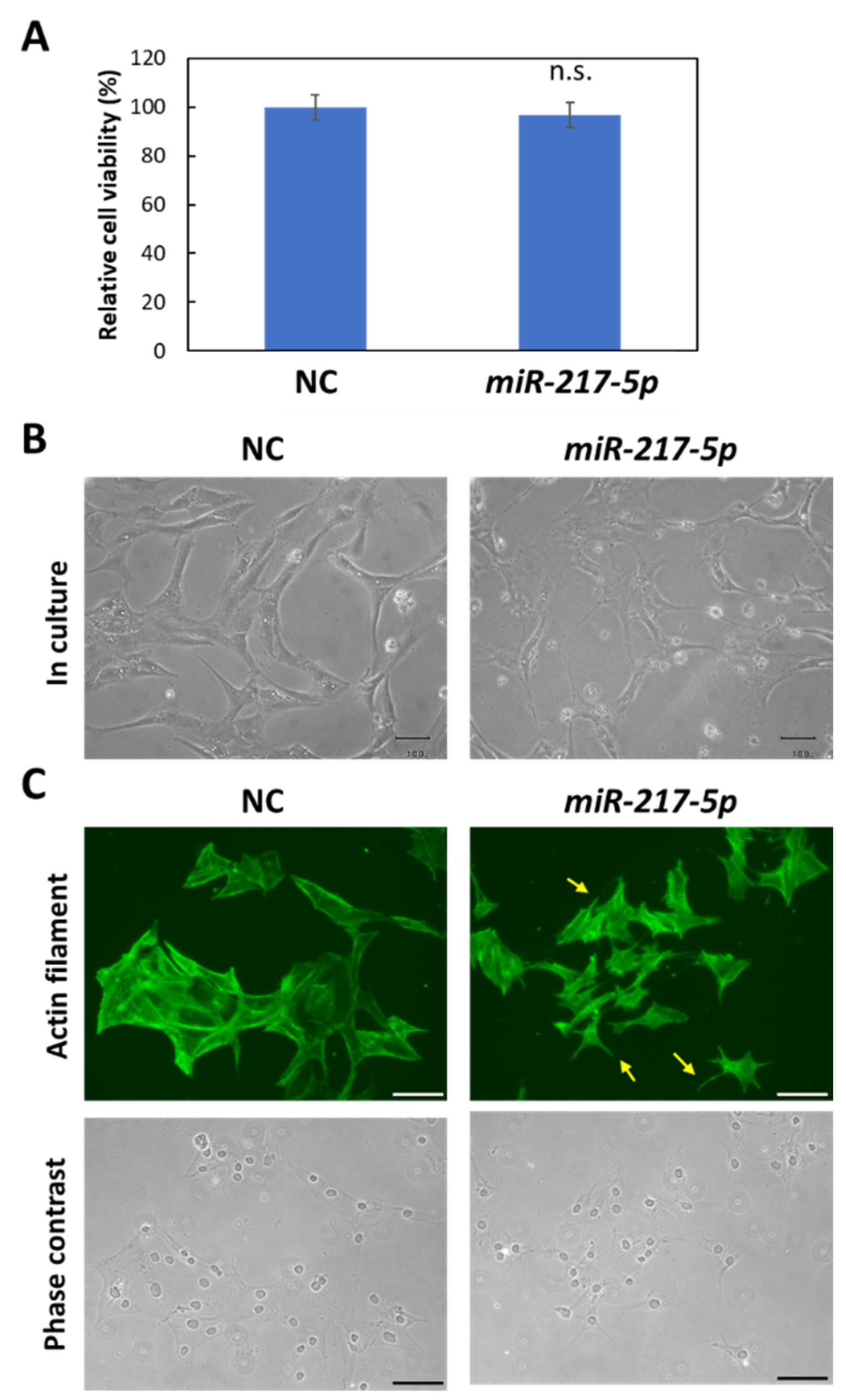 Ncrna 08 00043 g004 Ncrna 08 00043 g004