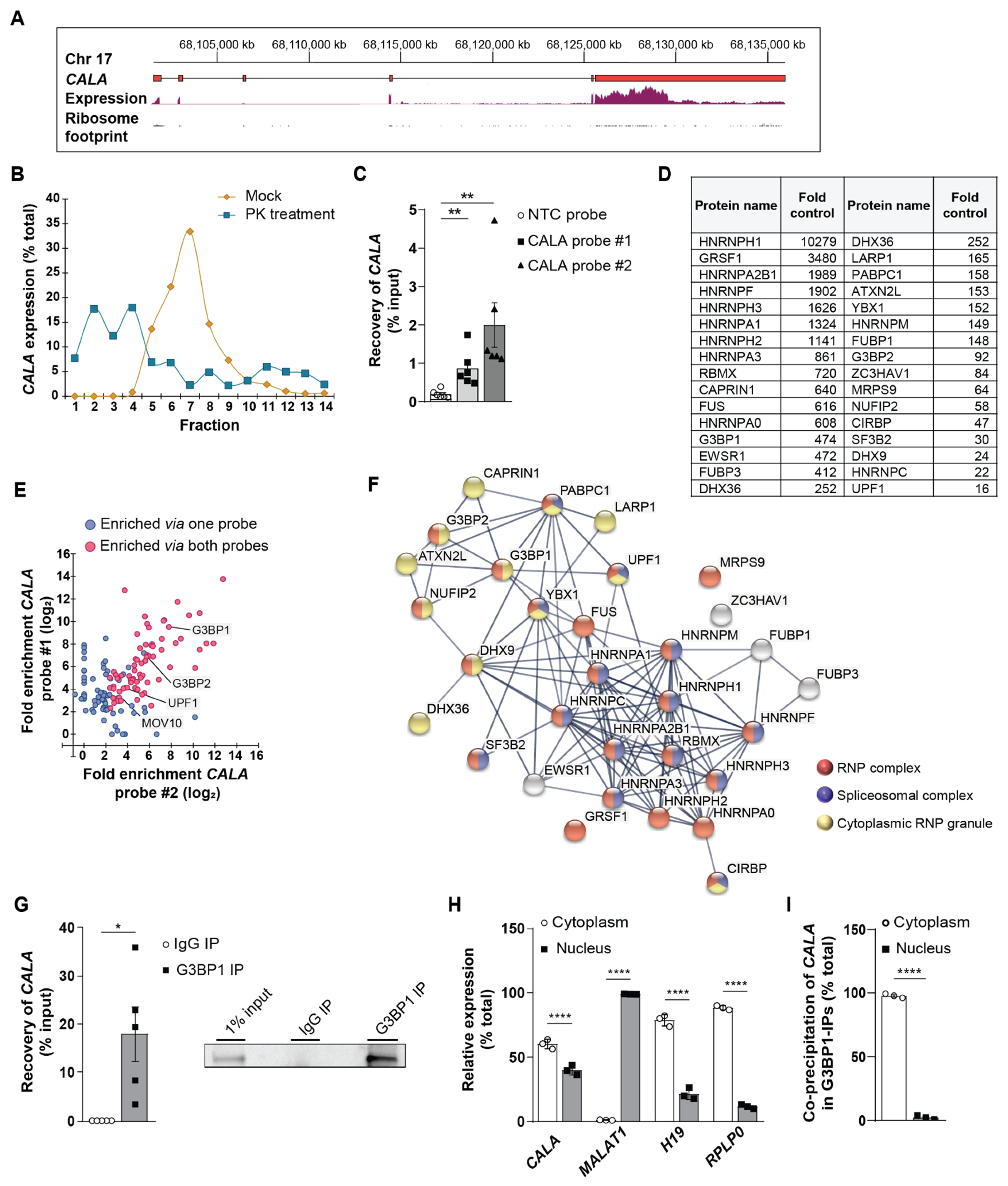 Ncrna 08 00049 g002 Ncrna 08 00049 g002