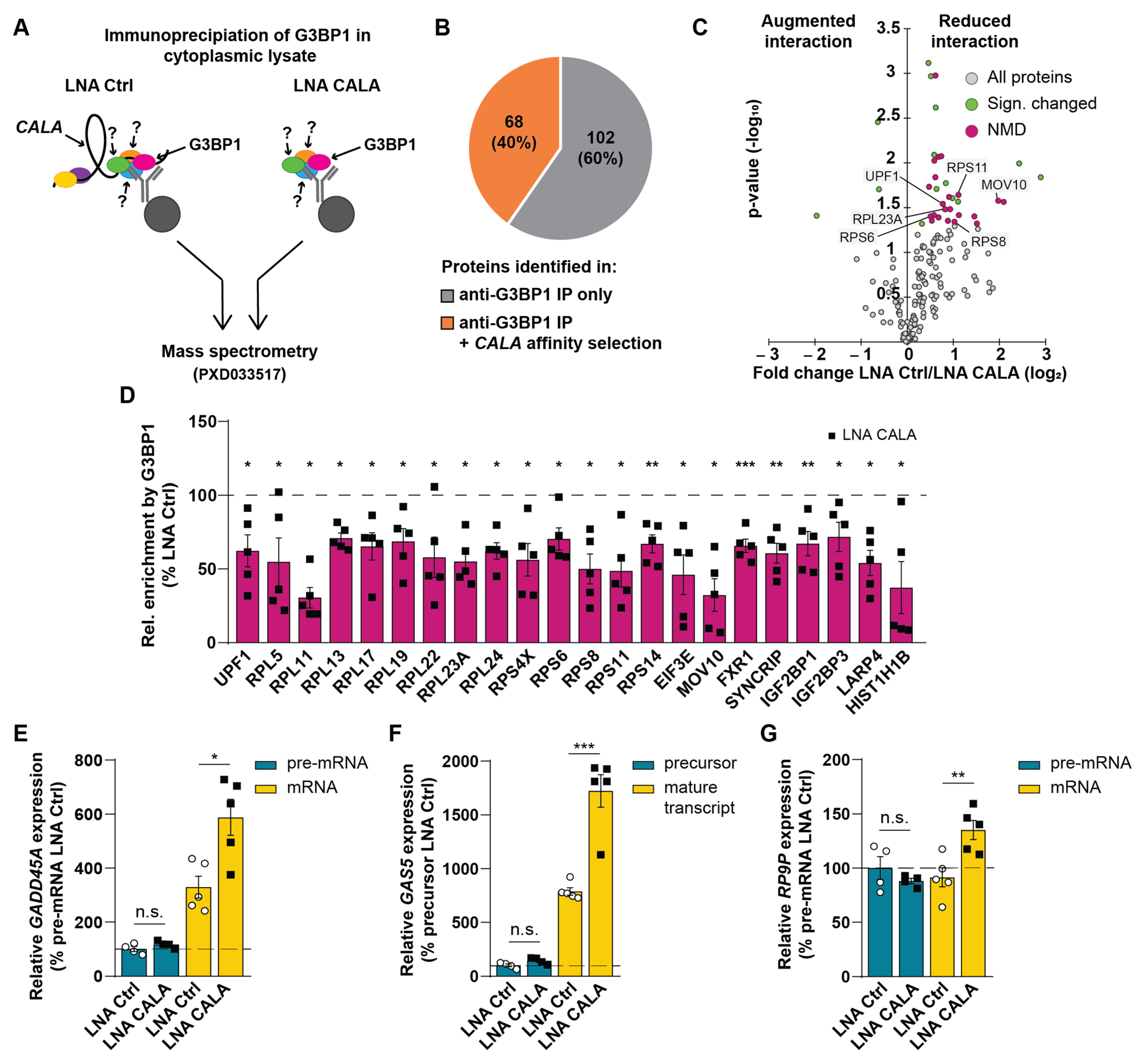 Ncrna 08 00049 g003 Ncrna 08 00049 g003